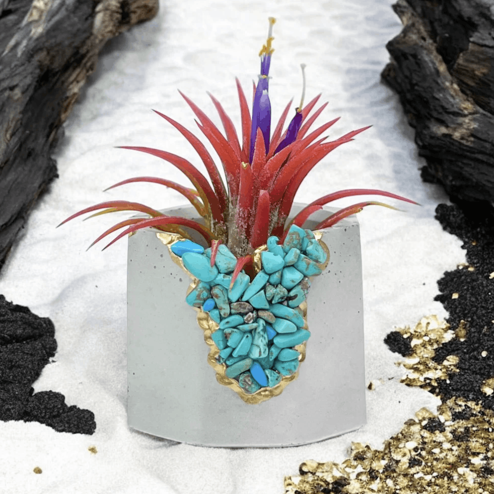 Other planter with amethyst Size ONE SIZE - 1 Preview