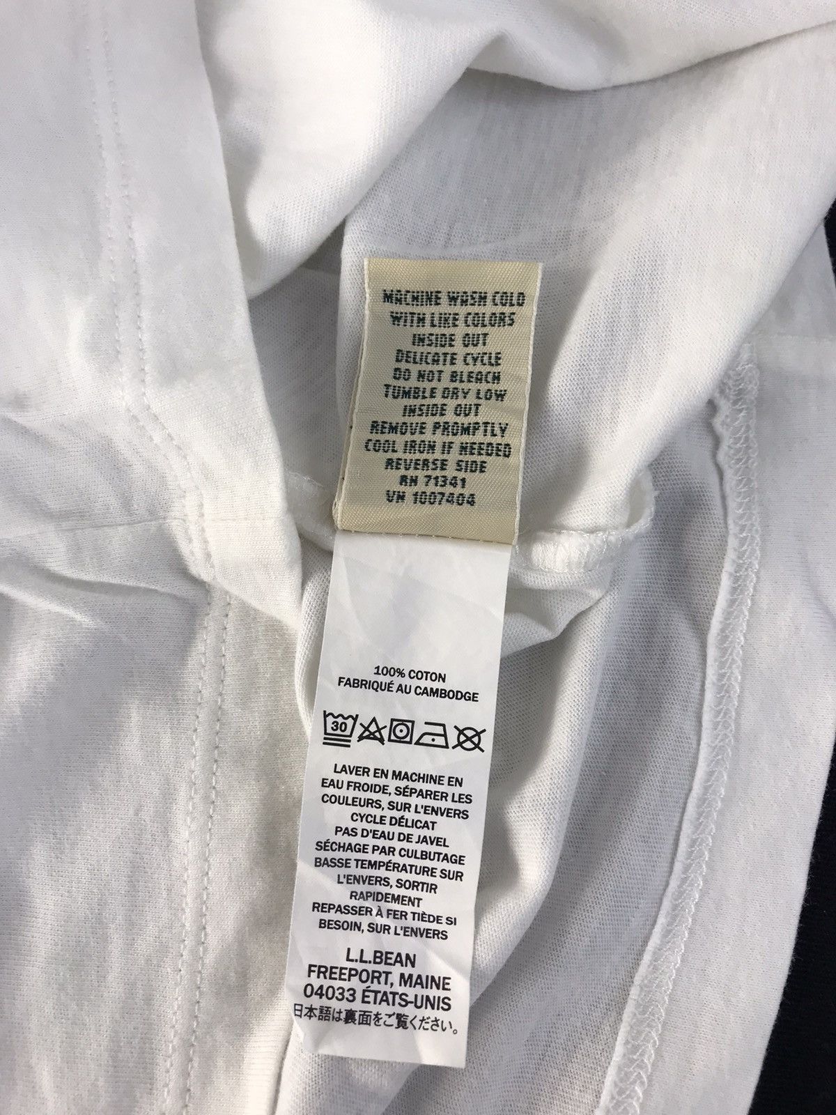 L.L. Bean LL Bean Explore The Outdoor Falling Dead Leave Logo Tee Size L / US 10 / IT 46 - 6 Thumbnail