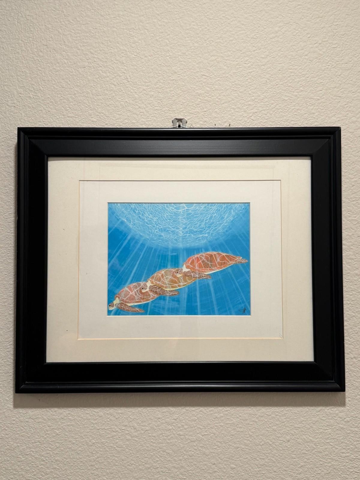 Other Scott Wright La Jolla Framed Sea Turtles Underwater Art Prin Size ONE SIZE - 1 Thumbnail