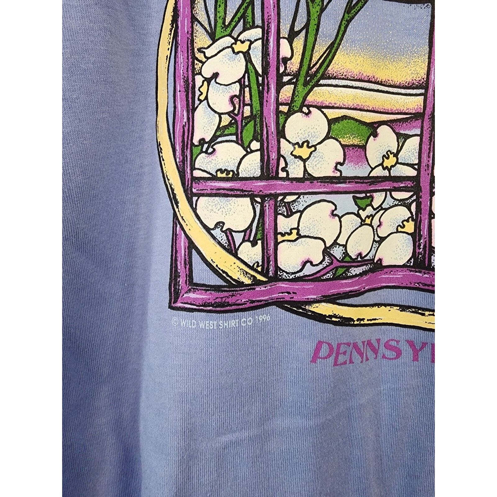 Jerzees Vintage Pocono Mountains Shirt Pennsylvania Blue 1996 Tee L Size US L / EU 52-54 / 3 - 3 Thumbnail