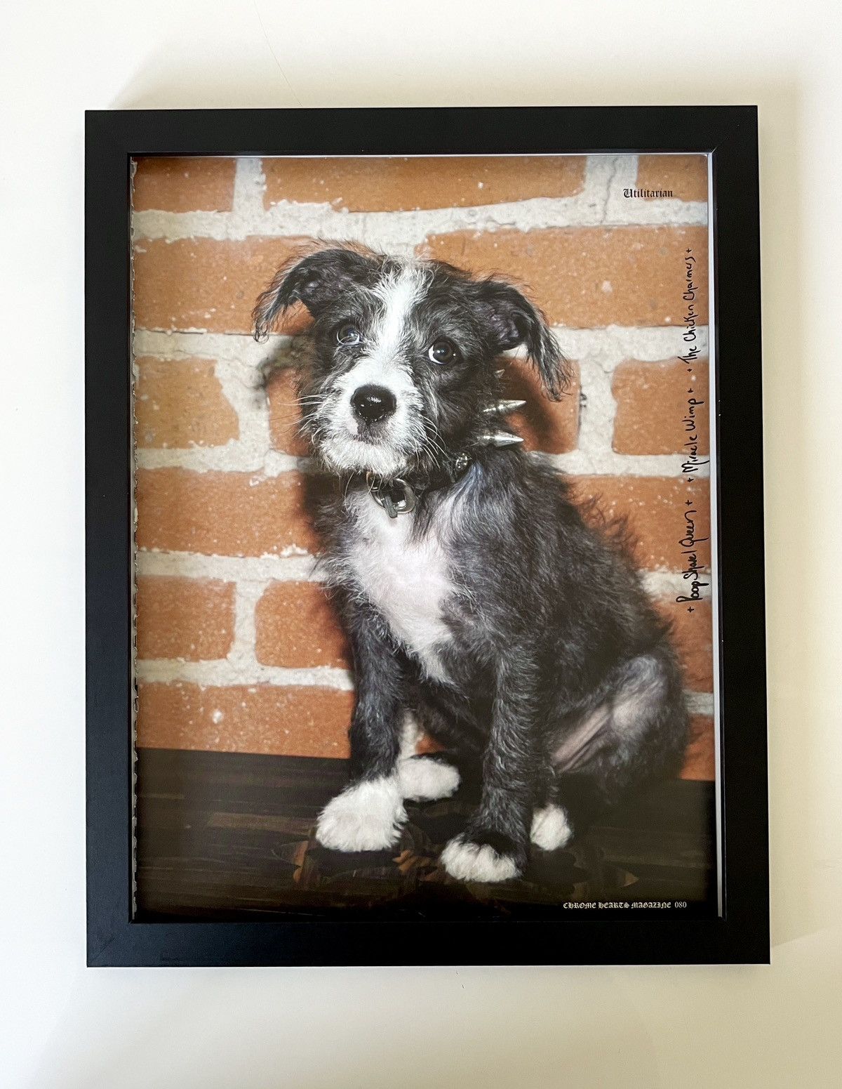Chrome Hearts Chrome Hearts dog puppy photo Framed poster 9x11 Size ONE SIZE - 1 Thumbnail