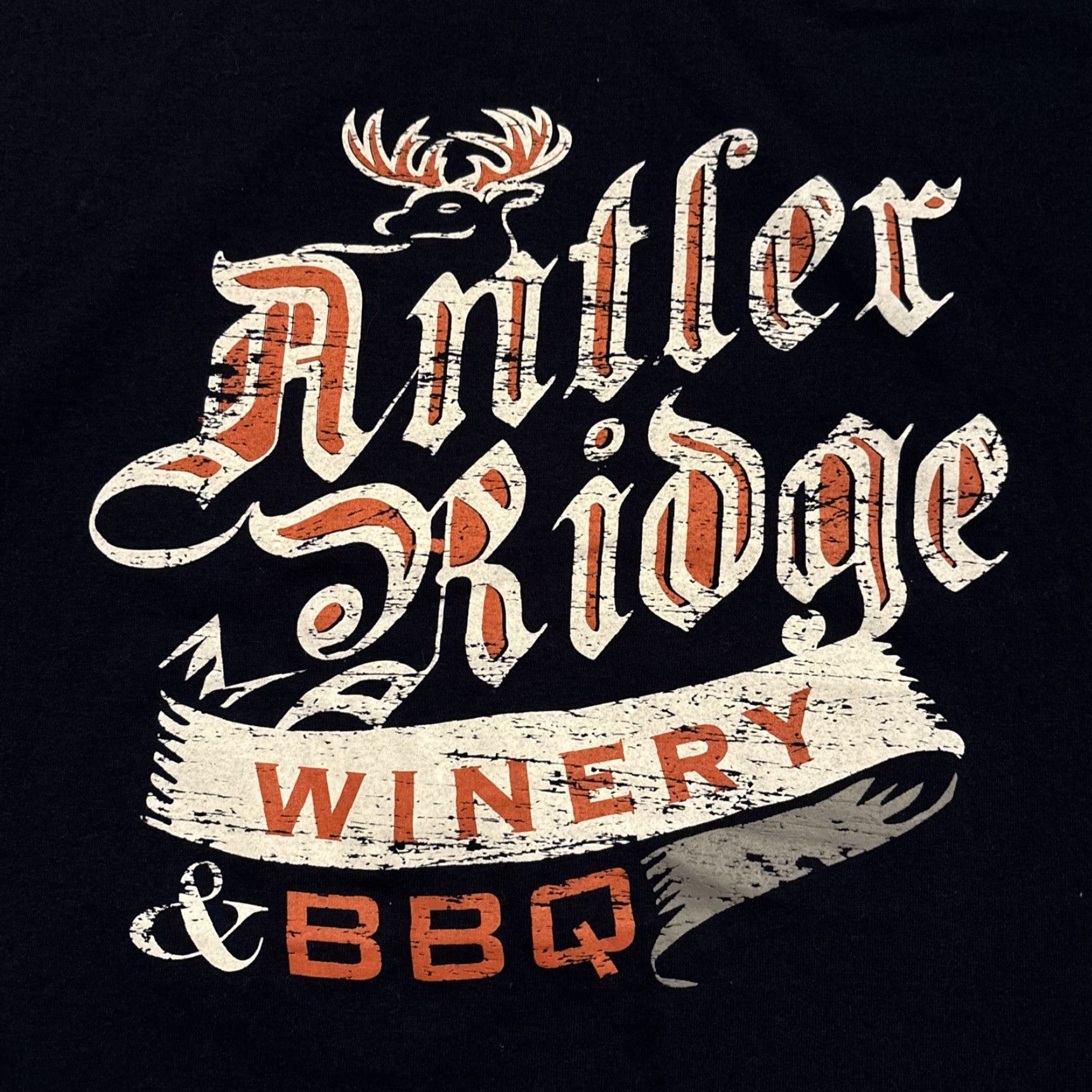 Jerzees Antler Ridge Winery Jim Thorpe PA Skeleton Dragon T-Shirt XL Blue Jerzees Mens Size US XL / EU 56 / 4 - 3 Thumbnail