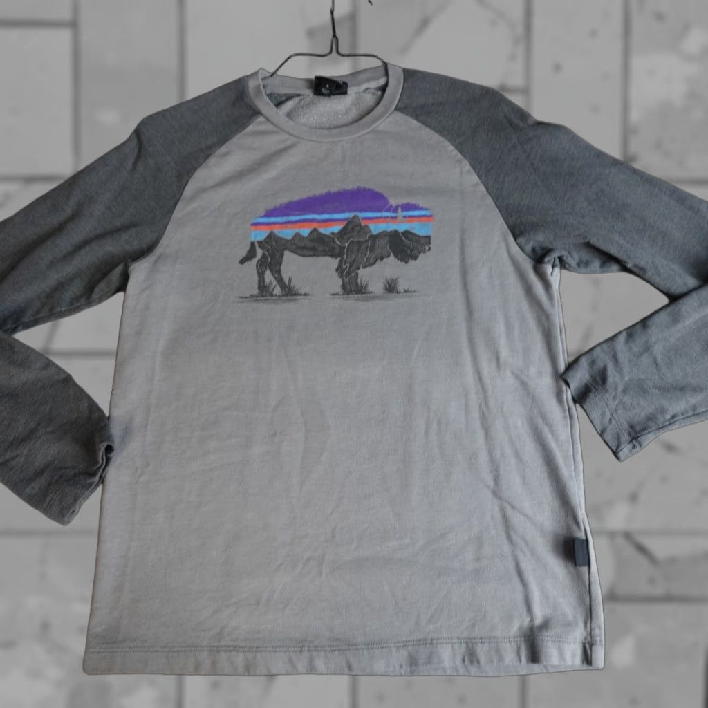 Patagonia Patagonia Sweatshirt Mens Small Gray Crew Neck Lightweight Graphic Print Fitz Roy Bison Pullover Size US S / EU 44-46 / 1 - 1 Thumbnail