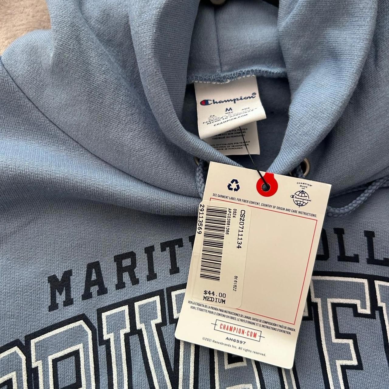 Champion Champion Men's Blue and Multi Hoody Size US M / EU 48-50 / 2 - 3 Thumbnail