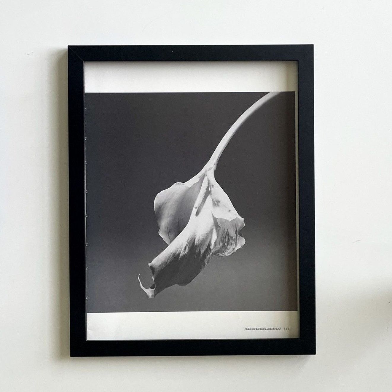 Chrome Hearts × Vintage Chrome Hearts flower photo Poster framed 9x11 Size ONE SIZE - 1 Thumbnail