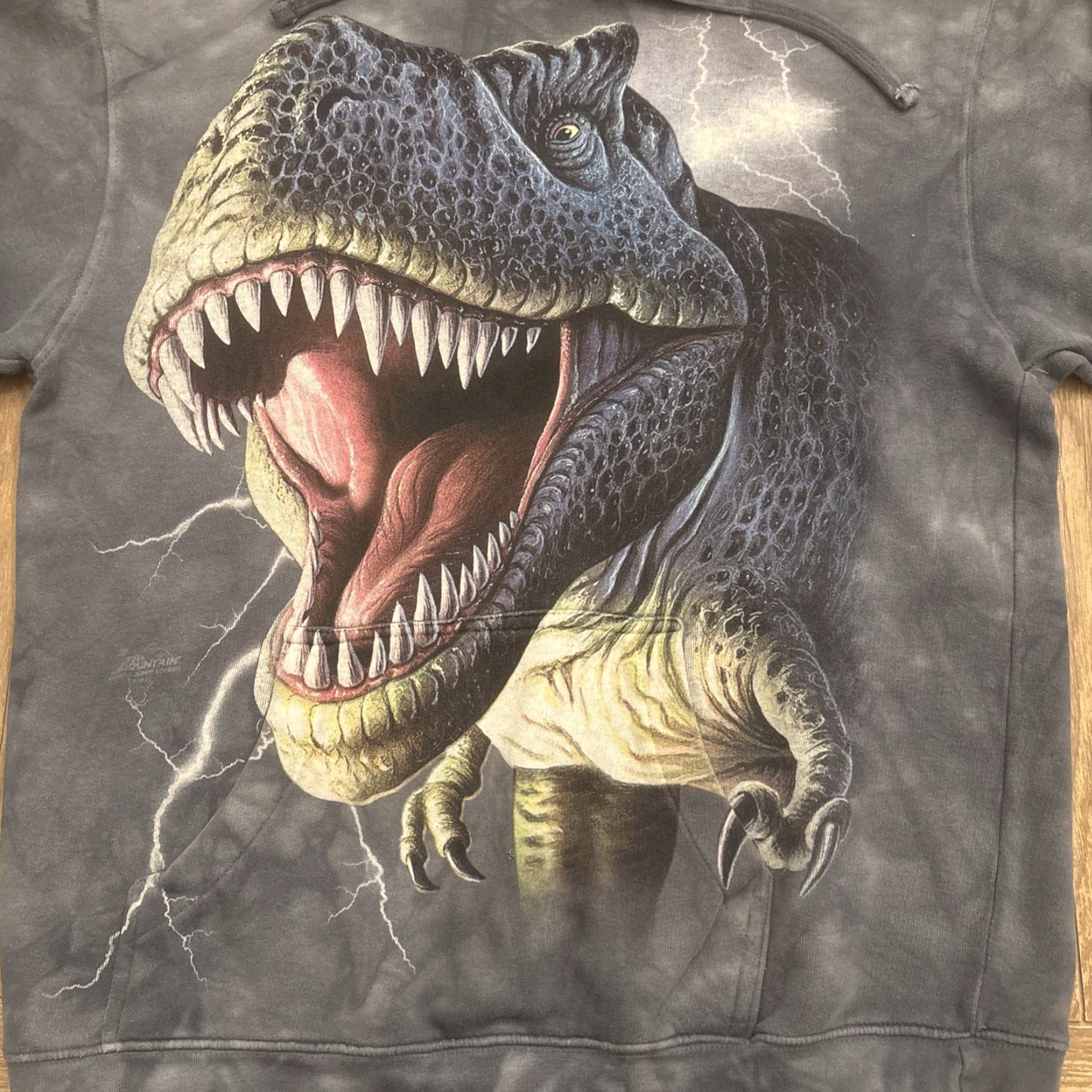 The Mountain VINTAGE The Mountain Dinosaur Hoodie Sweatshirt Pullover Adult OSFM Tie Dye 2009 Gray Size US M / EU 48-50 / 2 - 2 Thumbnail
