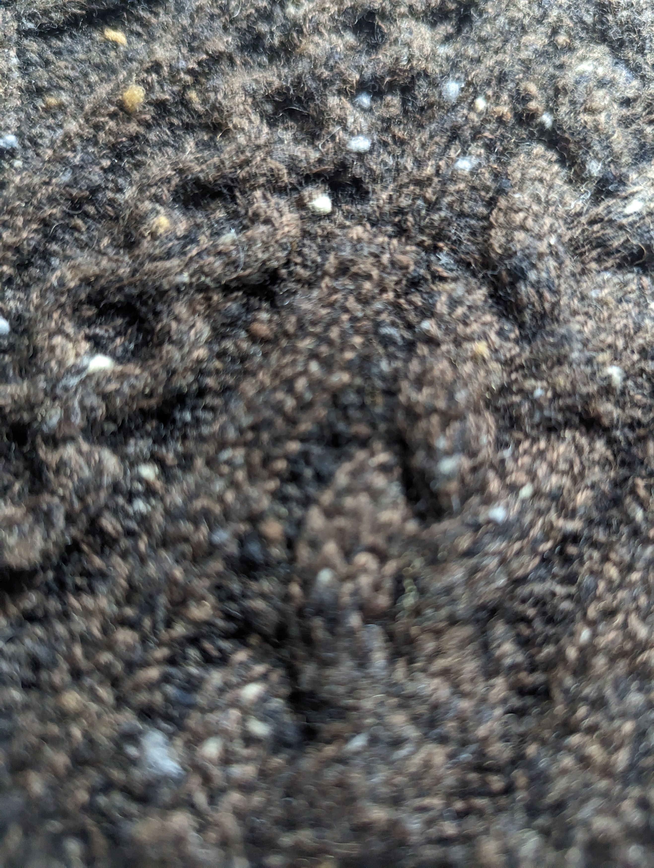 Handmade × Steven Alan Steven Alan Shetland Wool Tanktop Free size (M/L) Size US L / EU 52-54 / 3 - 4 Thumbnail