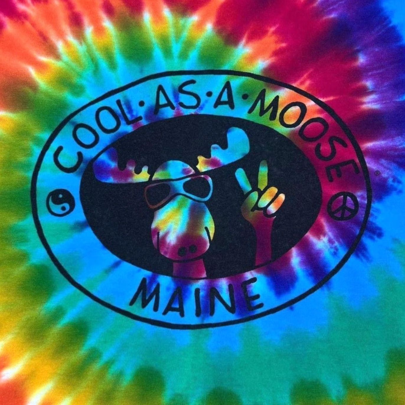 Anvil VINTAGE Anvil T-Shirt Rainbow Tie Dye “Maine” Souvenir Graphic Large Mens Shirt Size US L / EU 52-54 / 3 - 4 Thumbnail