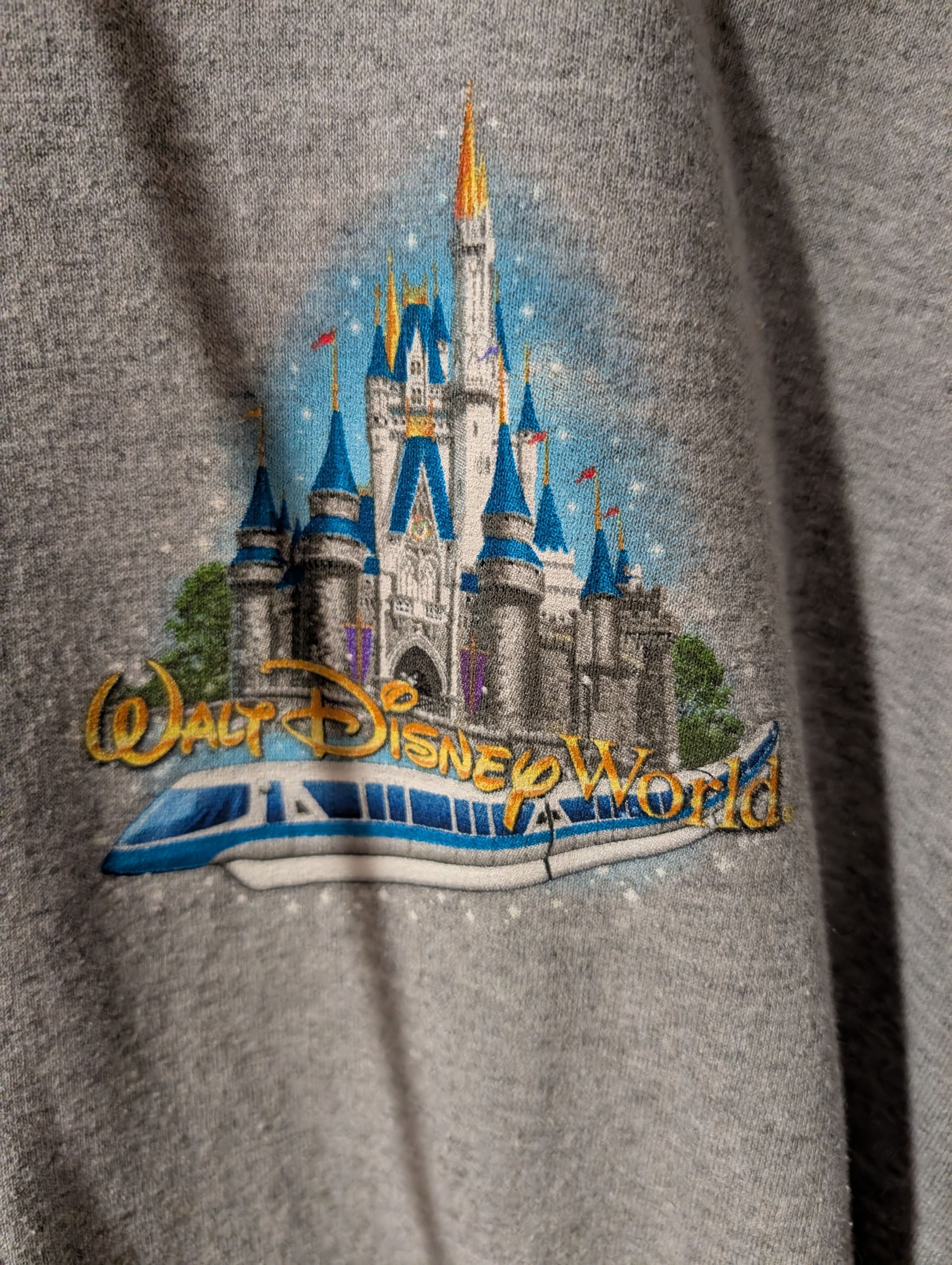 Disney Vintage Y2K Walt Disney World Zip Up Hoodie by Hanes Size US M / EU 48-50 / 2 - 4 Thumbnail