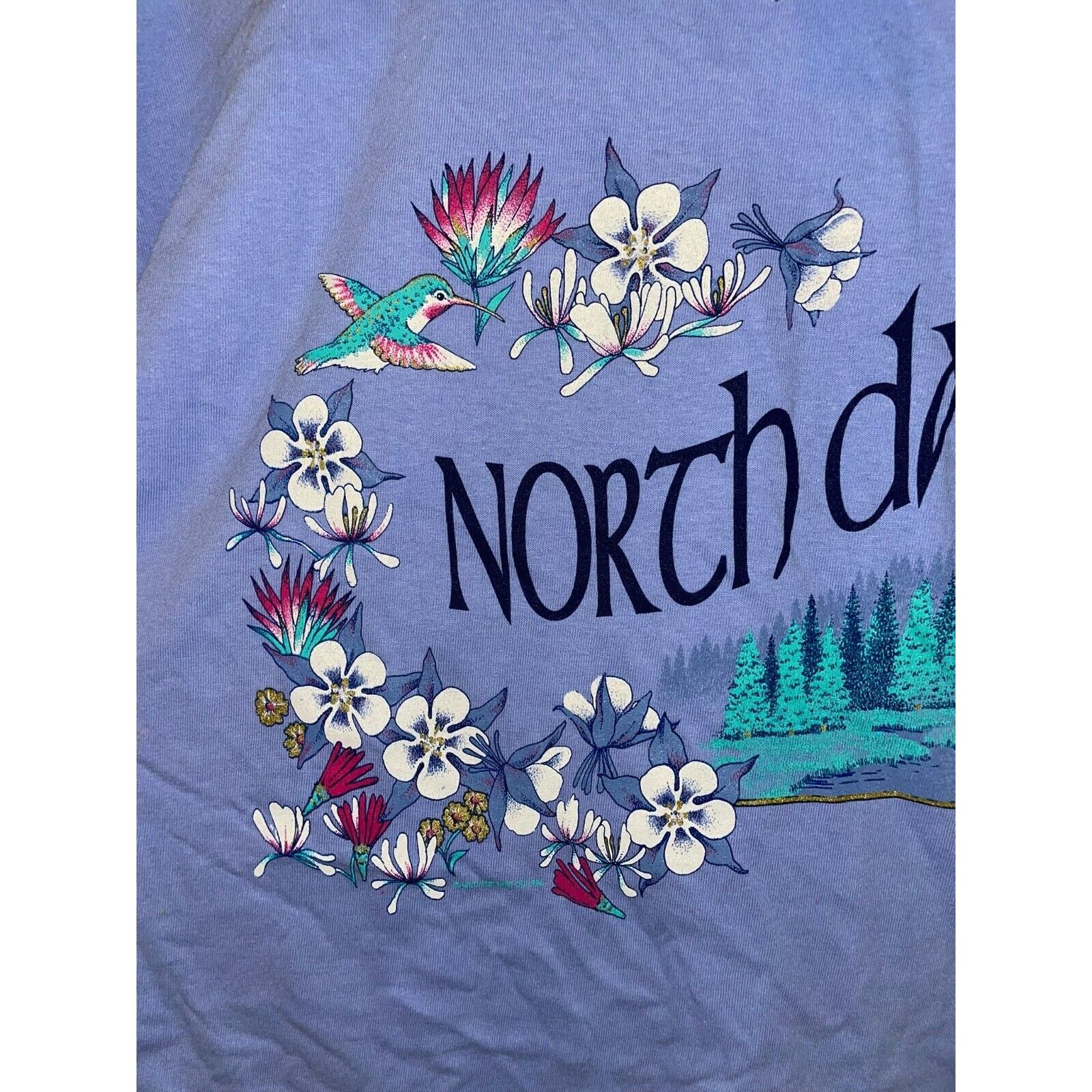 Jerzees Vintage North Dakota Shirt Mountain Hummingbird Tee 90s L Size US L / EU 52-54 / 3 - 2 Thumbnail
