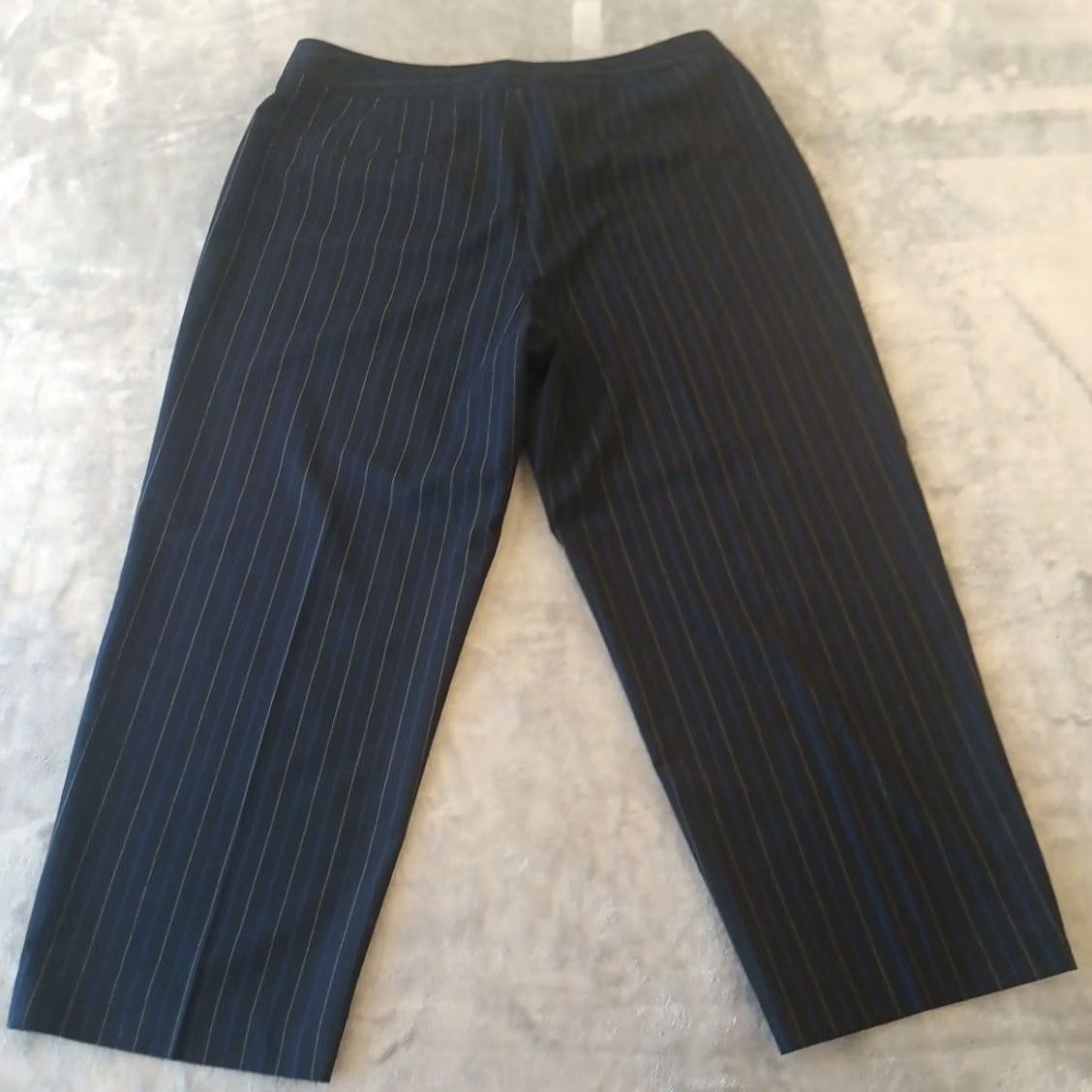 Liz Claiborne Liz Claiborne Audra Striped Pants Womens Size 16P Blue Size 38" / US 16 / IT 52 - 2 Thumbnail