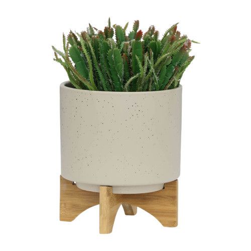 Designer × Homemade S/2 5/8" PLANTER W/ WOOD STAND, MATTE BEIGE Size US L / EU 52-54 / 3 - 3 Thumbnail