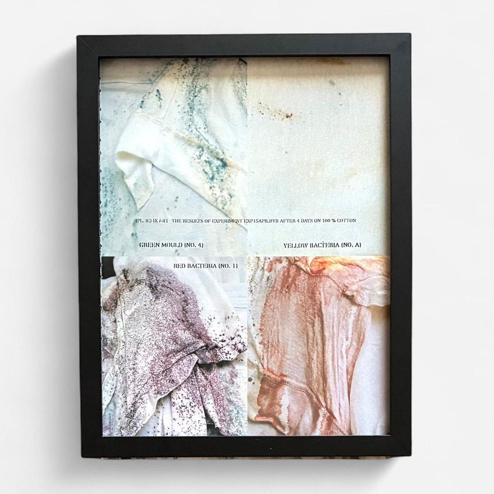 Designer × Maison Margiela × Vintage Maison Martin Margiela Archive vintage framed print 9x11 Size ONE SIZE - 1 Thumbnail