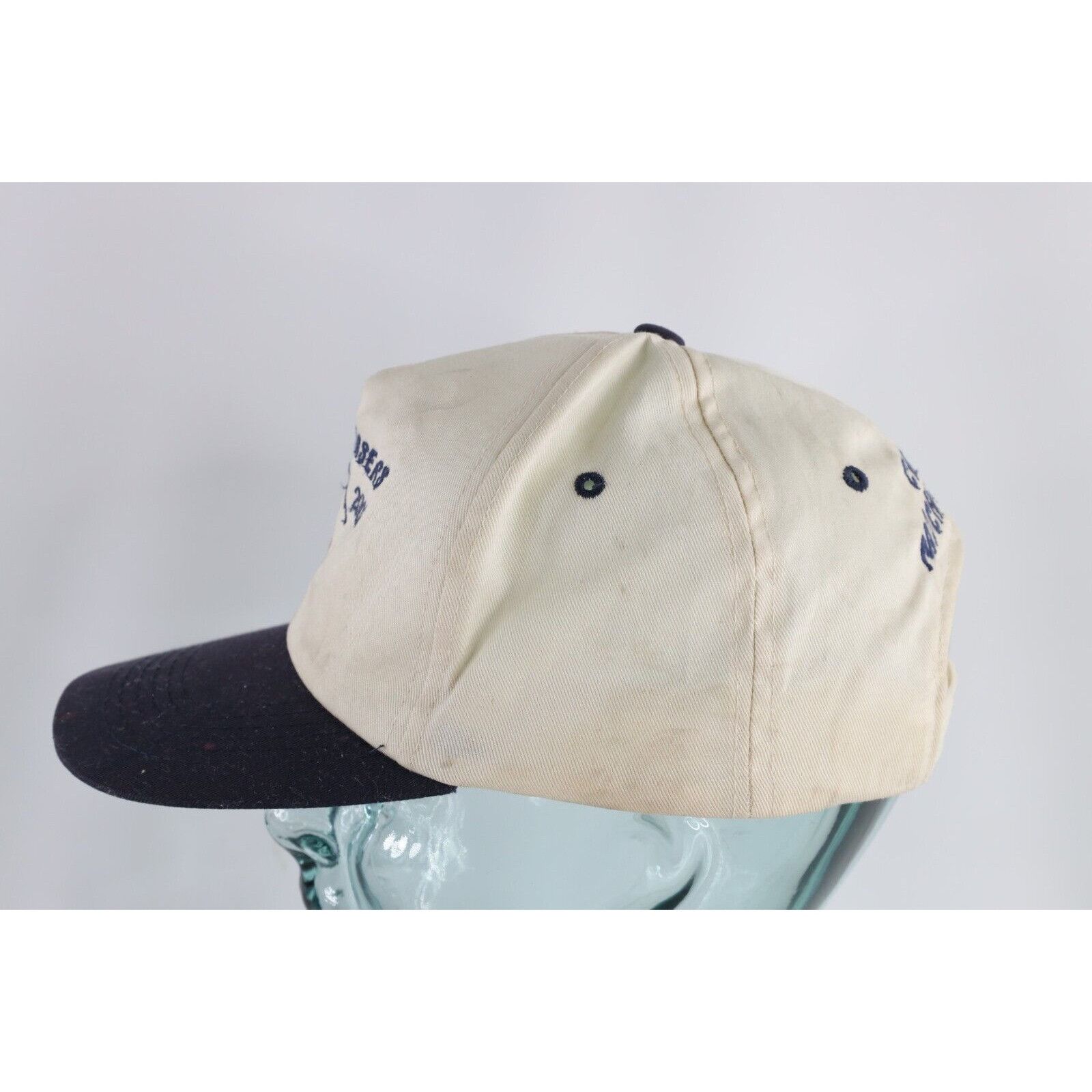 Vintage Vintage Thrashed 2002 Pike Chasers Fishing Snapback Hat Size ONE SIZE - 6 Thumbnail