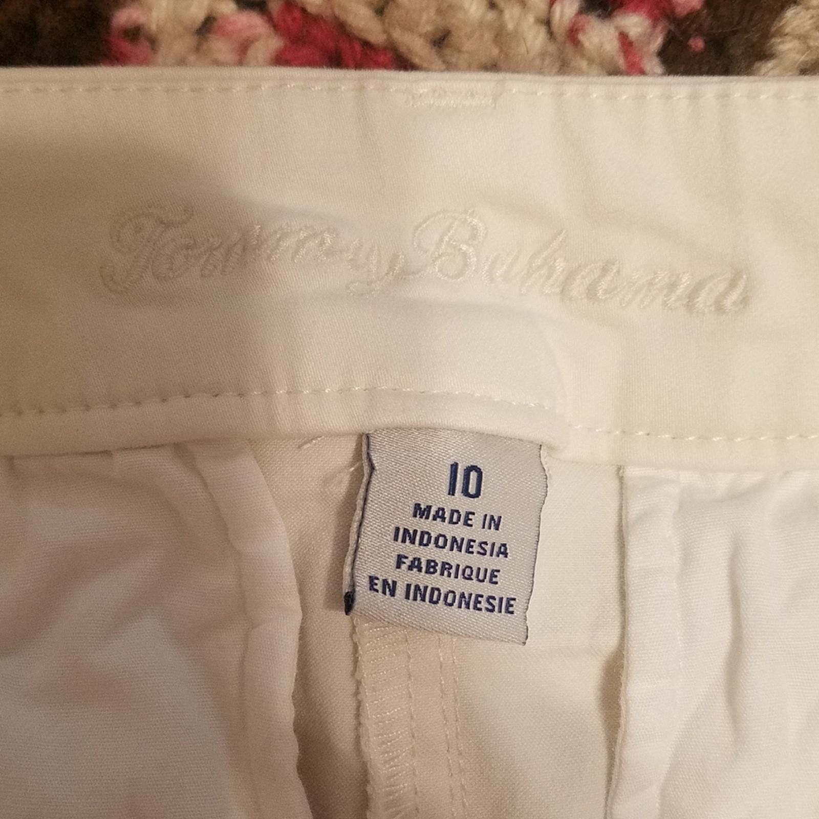 Tommy Bahama Tommy Bahama Cream Shorts Size 10 Size 32" / US 10 / IT 46 - 3 Thumbnail