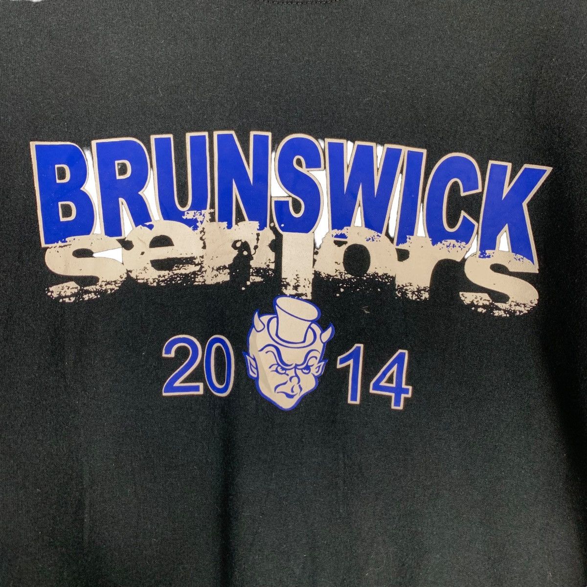 Gildan BRUNSWICK SENIORS 2014 BIG LOGO SWEATSHIRTS #0762-C35 Size US S / EU 44-46 / 1 - 9 Thumbnail