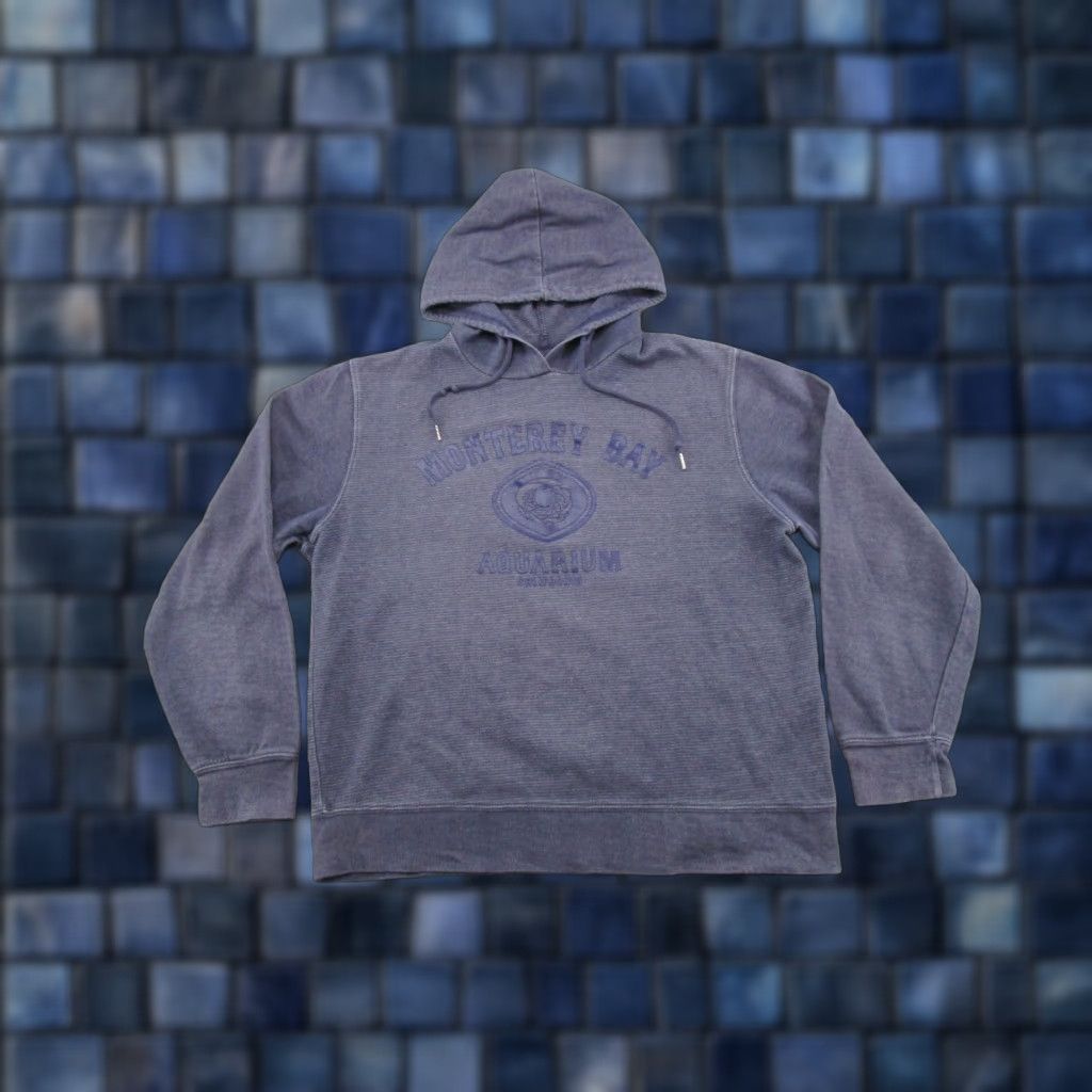 Vintage Camp David Hoodie Monterey Bay Aquarium California Pullover Adult L Mens Blue Sports All Seasons Hooded Vintage: No Size US L / EU 52-54 / 3 - 1 Thumbnail