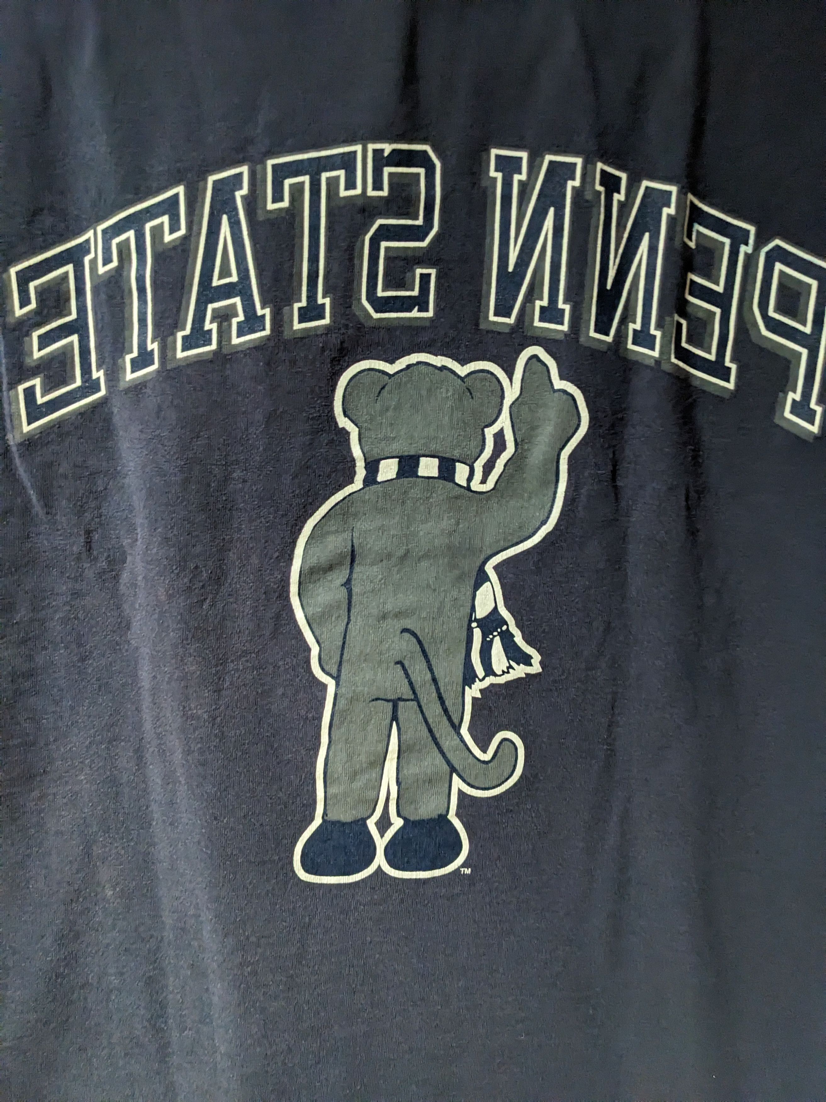 Vintage Vintage Y2K Penn State Nittany Lion Front Back Large T-Shirt Size US L / EU 52-54 / 3 - 7 Thumbnail