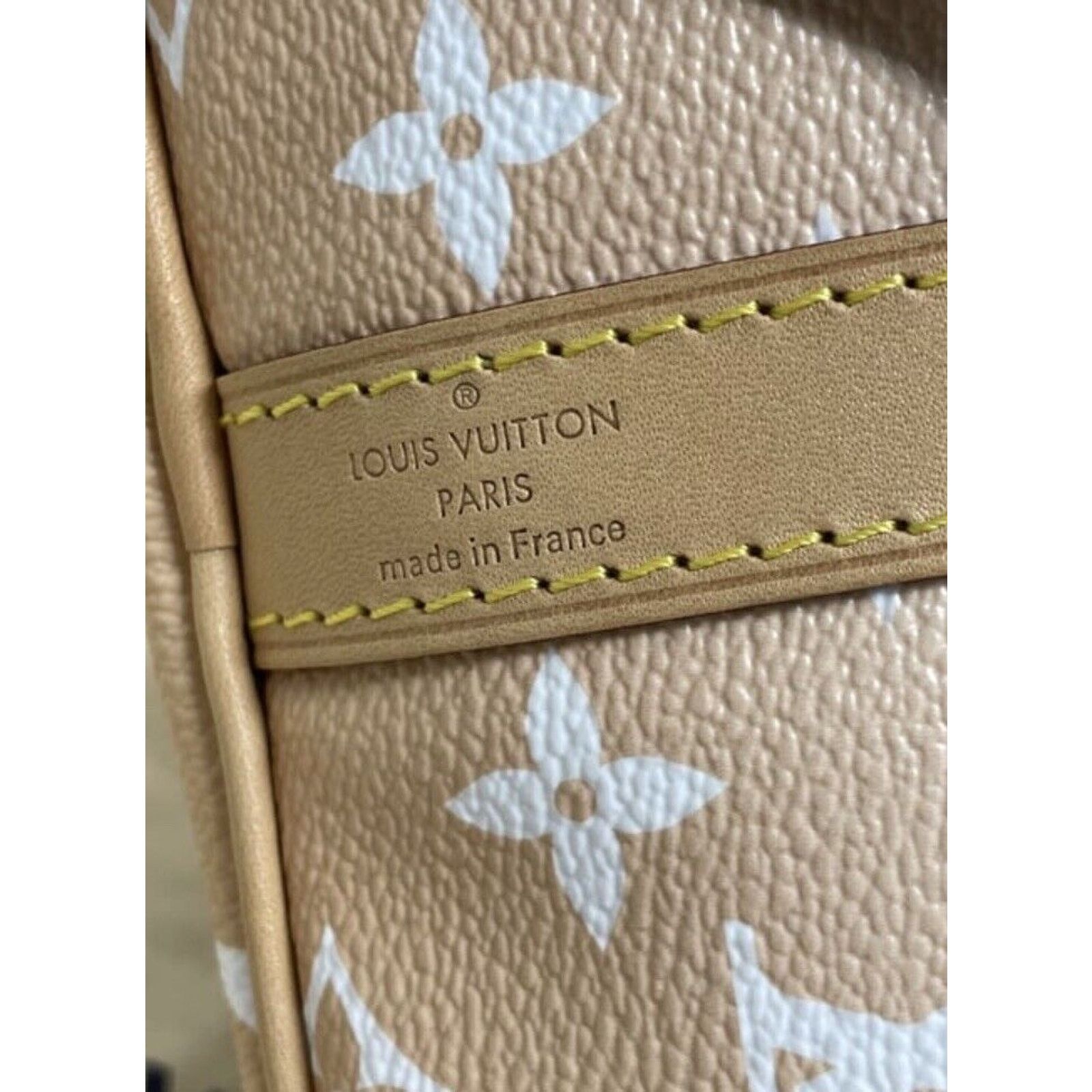Louis Vuitton Louis Vuitton Speedy 25 Bandouliere Summer By The Pool Mist Size ONE SIZE - 11 Thumbnail