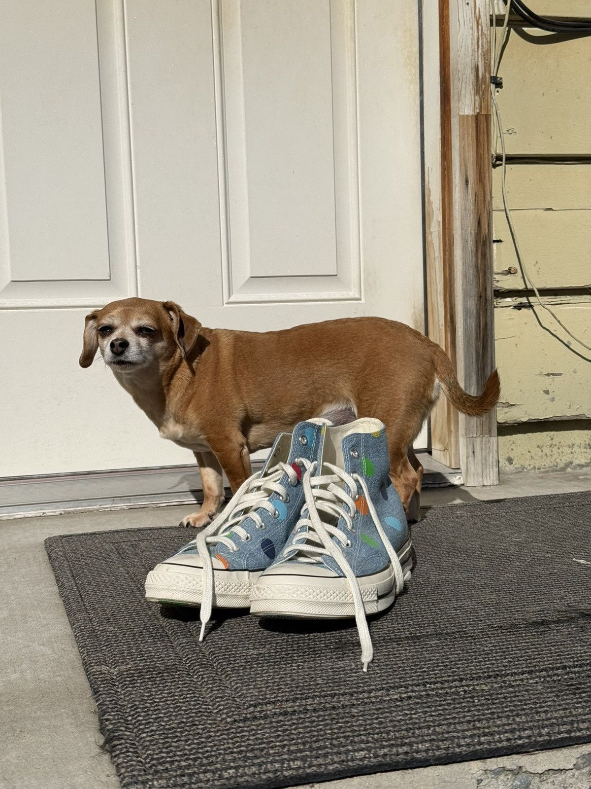 Polk-a-Dot Converse x GOLFWANG Chuck Taylors