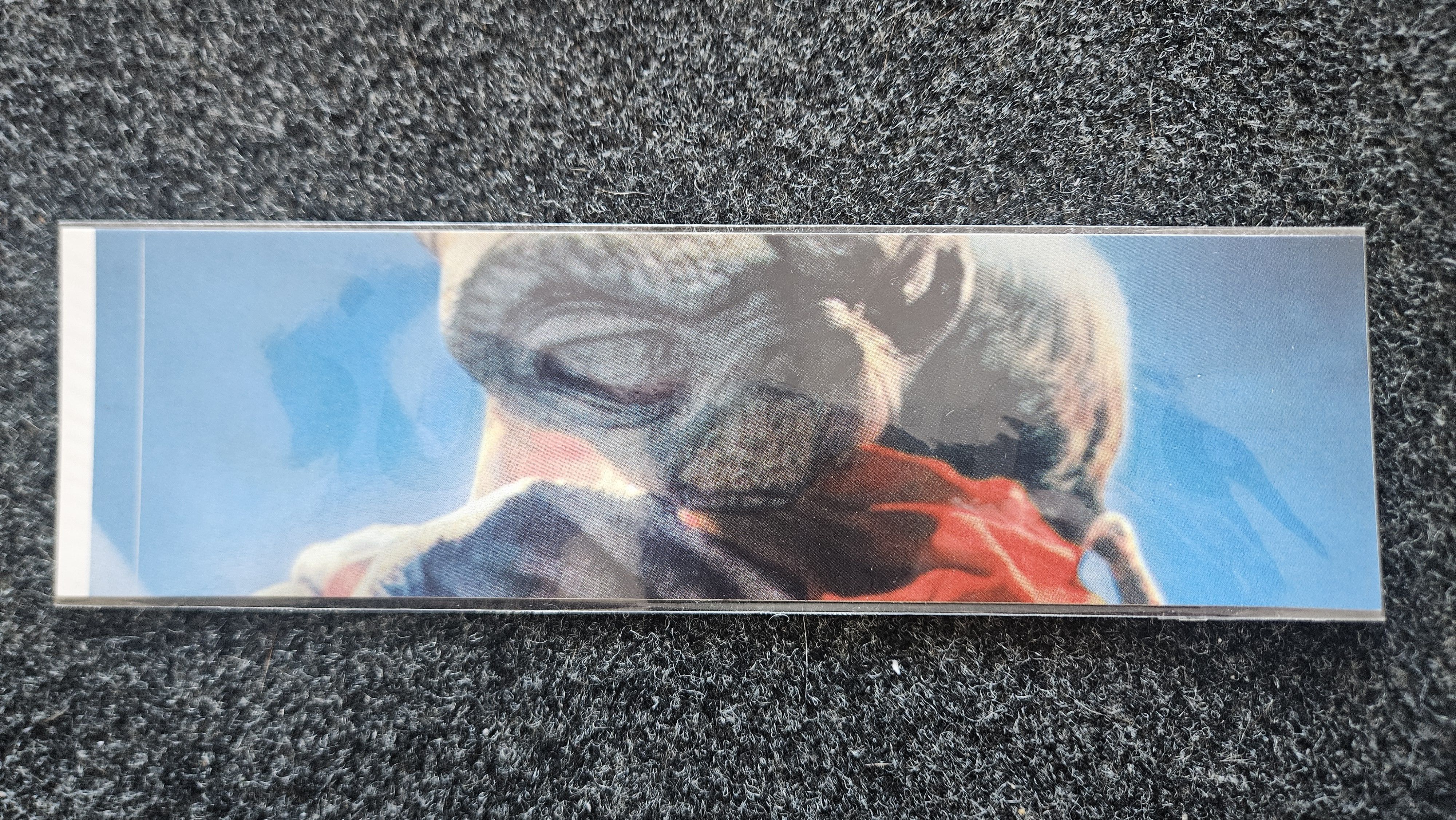 Supreme Supreme Money Box Logo Benjamin Franklin Sticker FW25