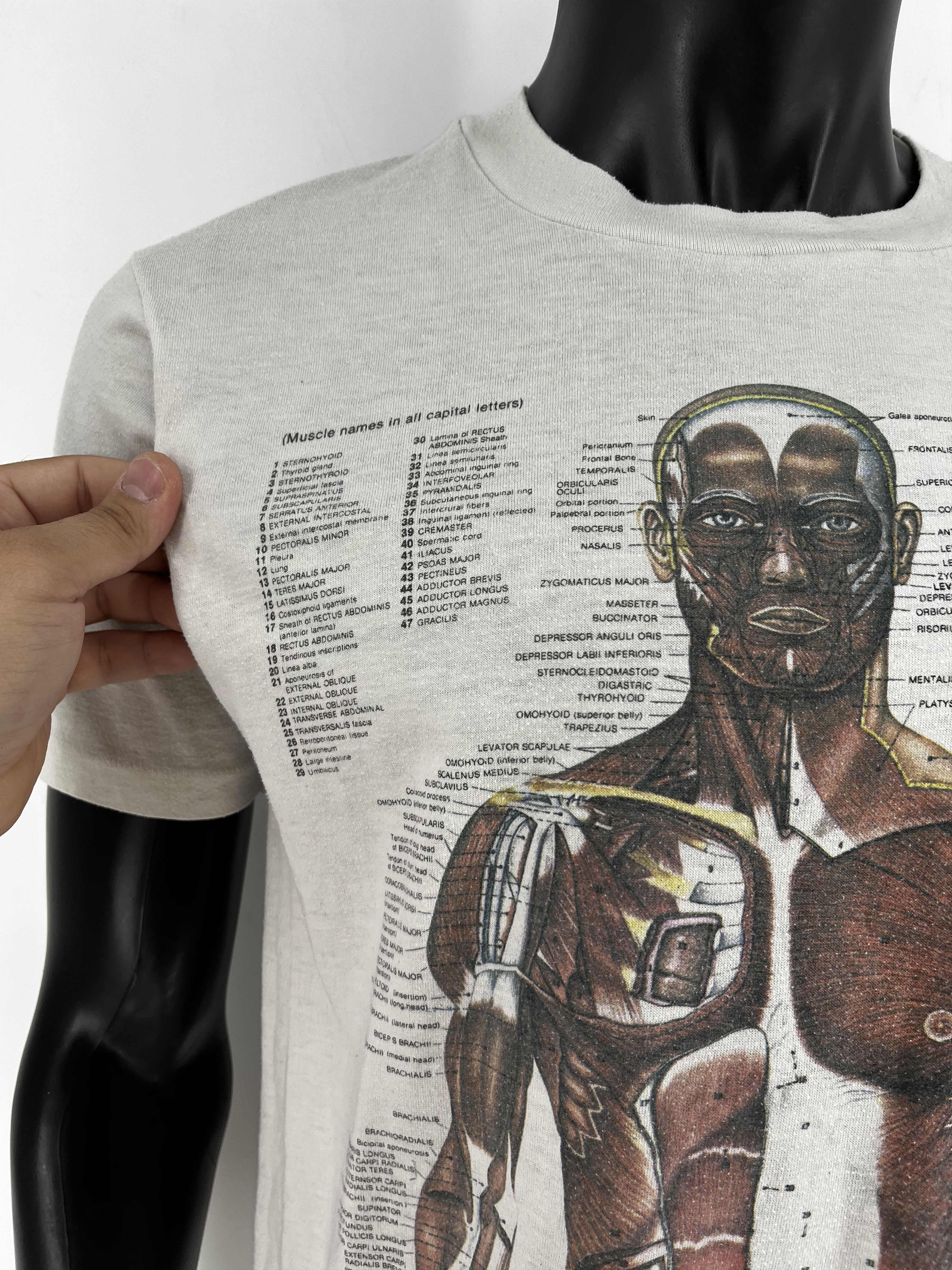 Nirvana Anatomy Muscle Shirt Same Print as Kurt Cobain Rare Medical Size US L / EU 52-54 / 3 - 7 Thumbnail