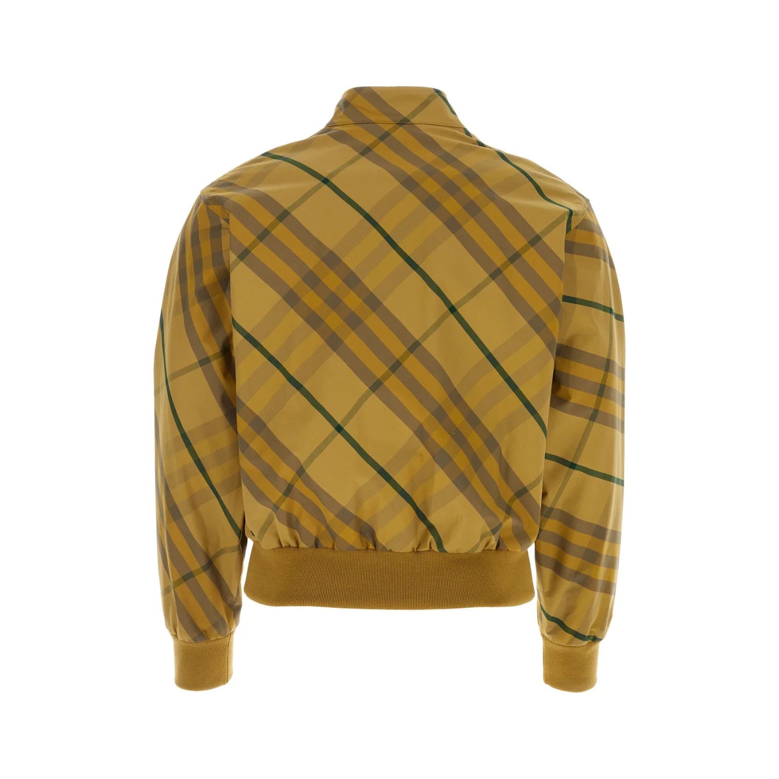 Burberry BURBERRY Embroidered Cotton Bomber Jacket New & Authentic (M Size US M / EU 48-50 / 2 - 2 Thumbnail