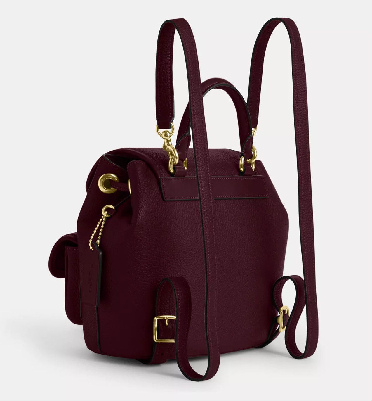 Coach NWT Coach Hadley Backpack CBH09 Size ONE SIZE - 4 Thumbnail