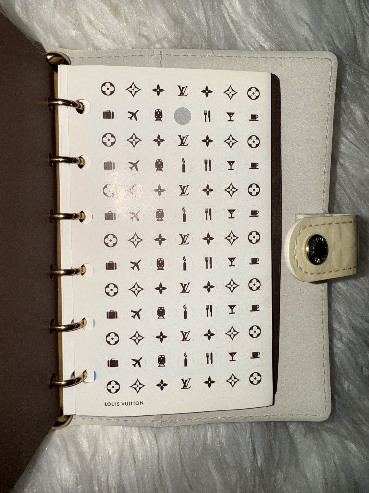 Louis Vuitton Louis Vuitton Passport Agenda Cover Size ONE SIZE - 21 Thumbnail
