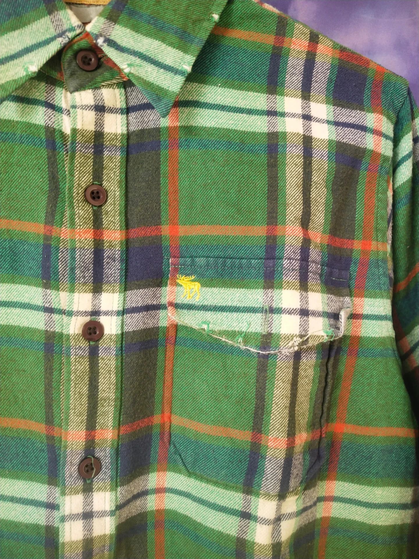 Abercrombie & Fitch Vintage Abercrombie and Fitch Green Large Plaid Flanel Shirt Size US S / EU 44-46 / 1 - 2 Thumbnail