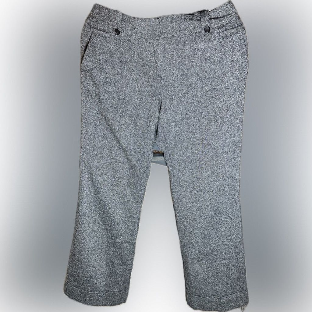 Loft Ann Taylor Loft Julie Wool Blend, Fully-lined Tweed Trousers Size 27" / US 4 / IT 40 - 2 Thumbnail