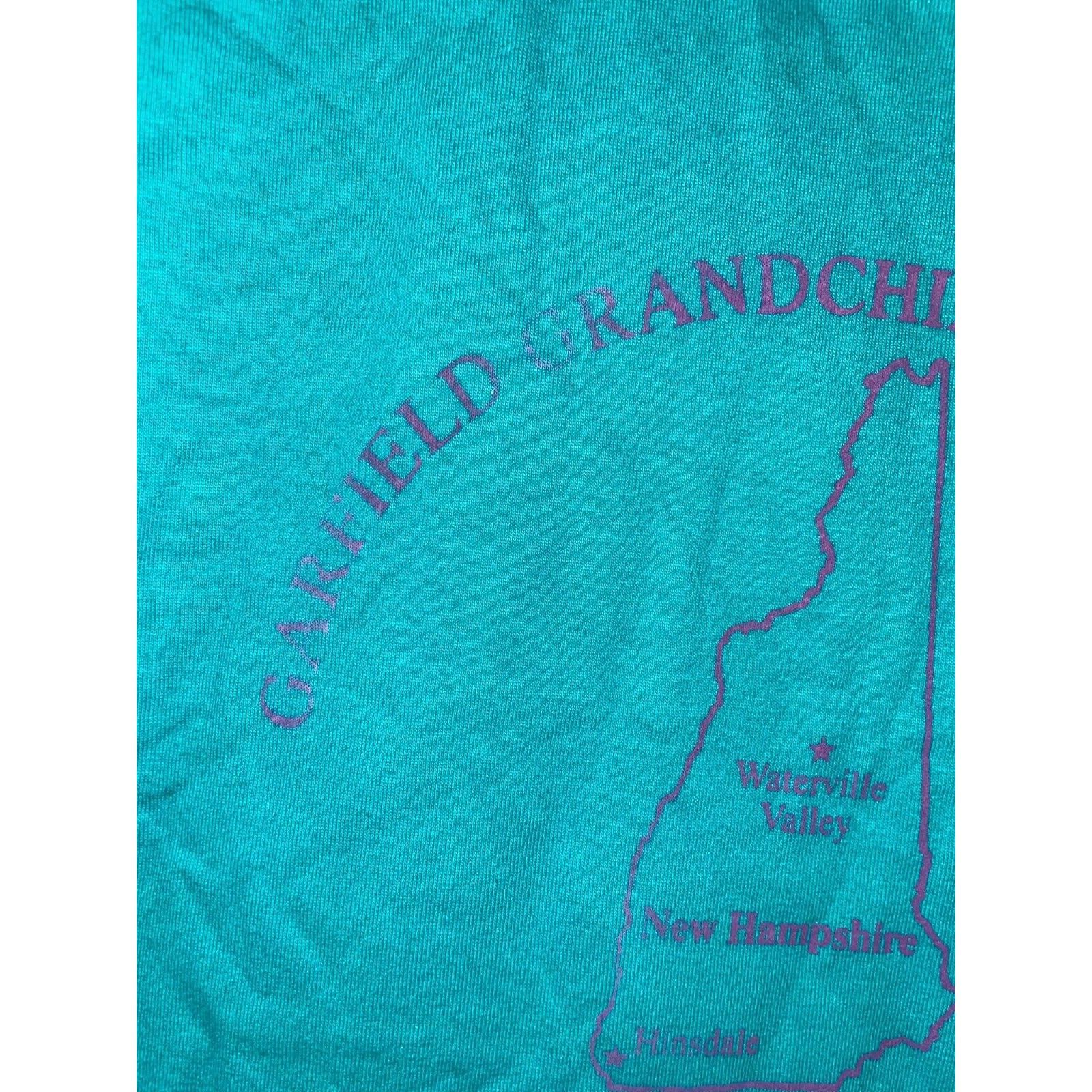 Jerzees Vintage Family Reunion Shirt Garfield Grandchildren 90s Size US L / EU 52-54 / 3 - 4 Thumbnail