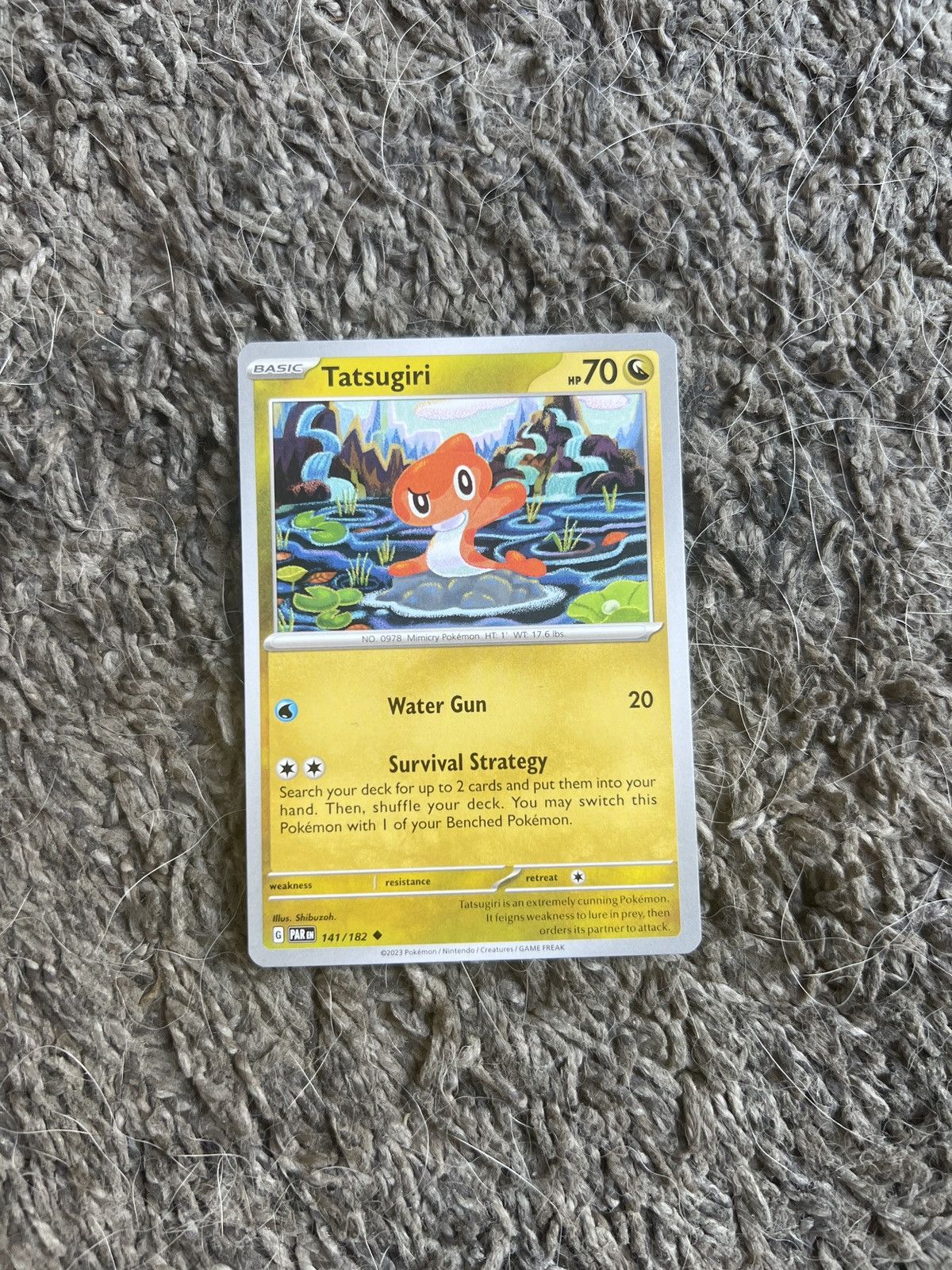 Pokemon 2023 Pokémon Tatsugiri Basic Card Size ONE SIZE - 1 Thumbnail