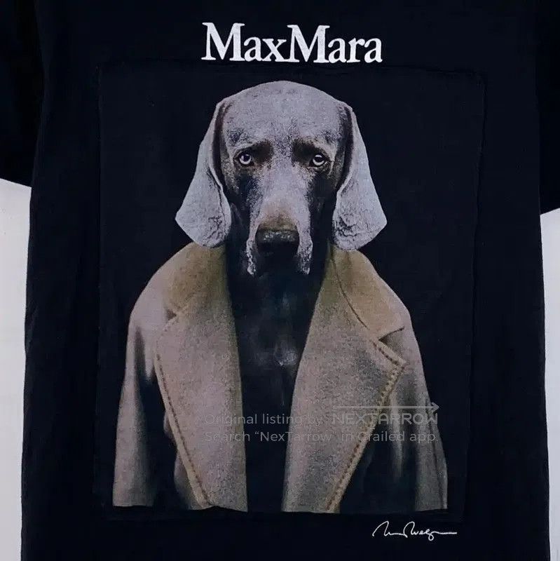 Max Mara MaxMara Black Cotton Graphic T-Shirt . Size XL / US 12-14 / IT 48-50 - 4 Thumbnail