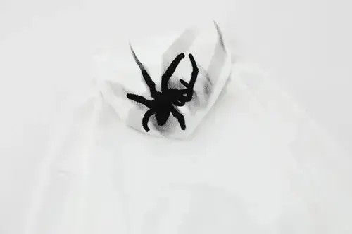 VIBE Embroidery Spider Hoodie Size US M / EU 48-50 / 2 - 3 Thumbnail