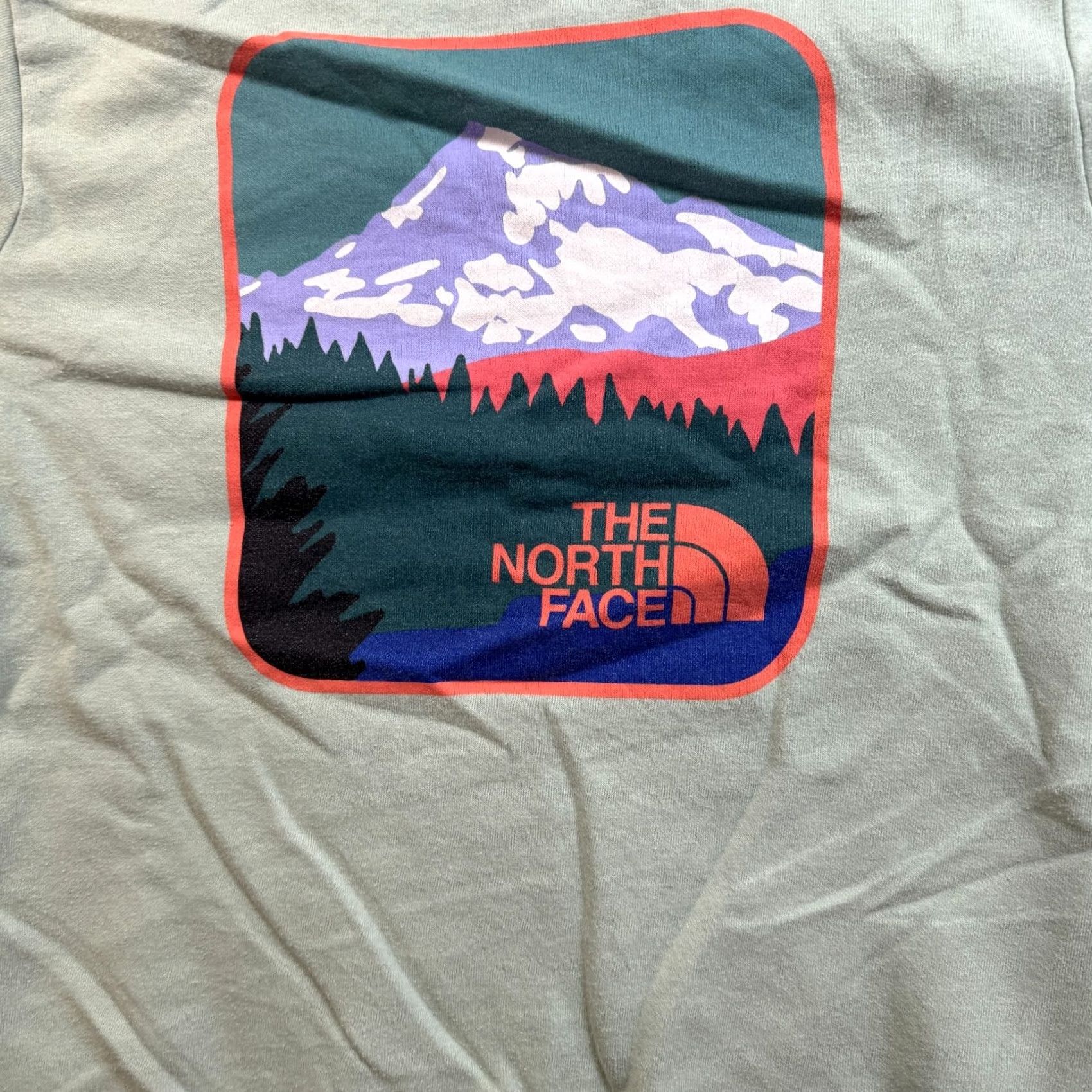 The North Face THE NORTH FACE Sweatshirt Womens Medium Half Dome Green Lightweight Pullover Size M / US 6-8 / IT 42-44 - 2 Thumbnail