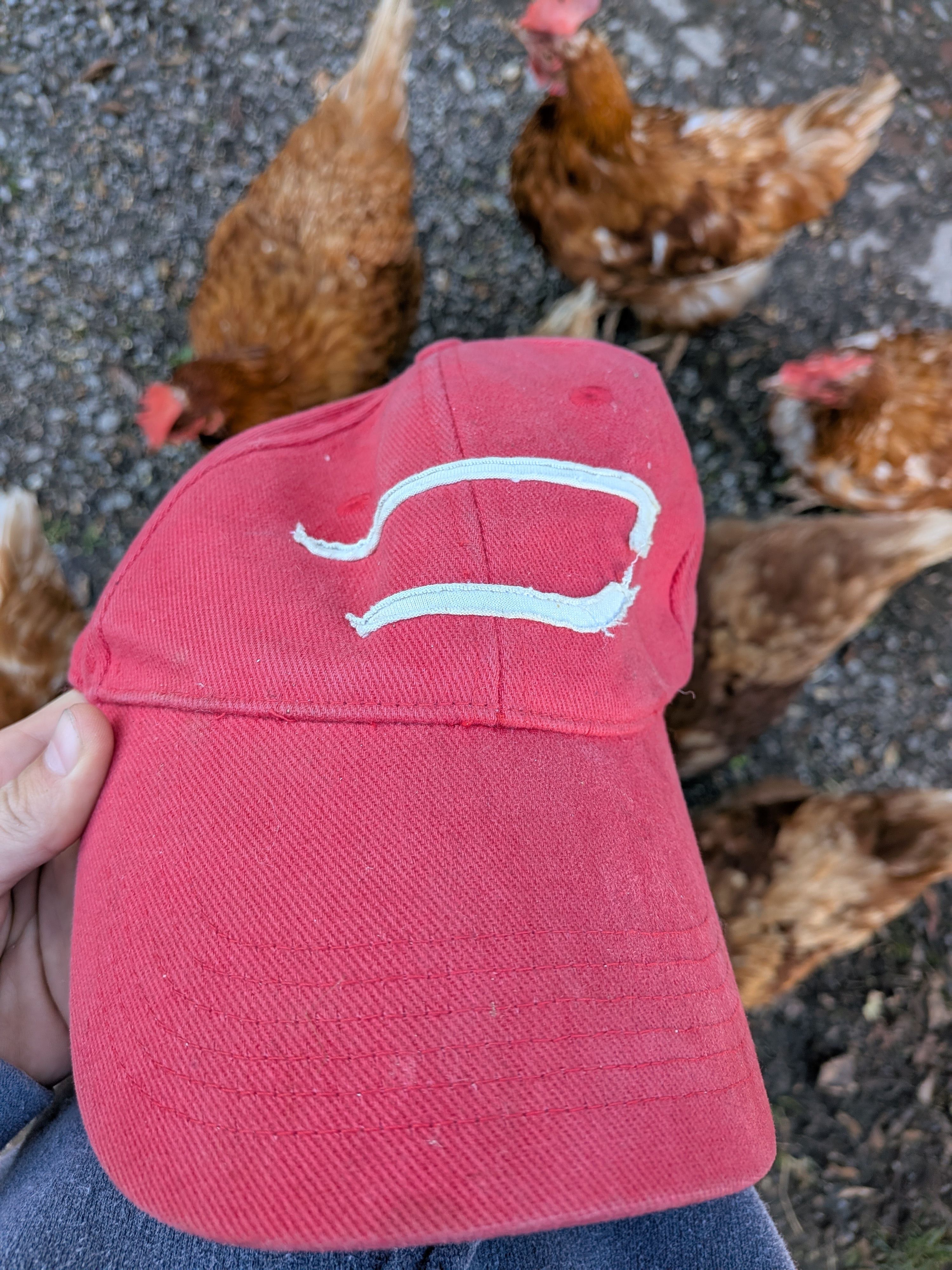Diesel VINTAGE DIESEL CAP found in abandoned warehouse Size ONE SIZE - 4 Thumbnail