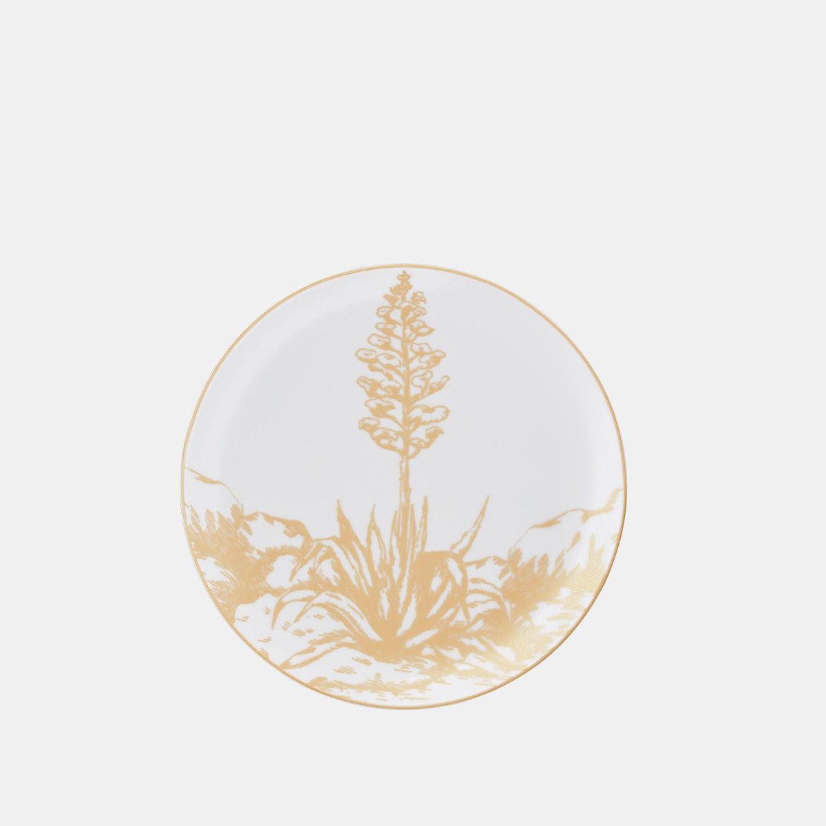 Dior o1bcso1str0624 Size: OS / 6 Set Dinner Plates in Multicolor Size ONE SIZE - 6 Thumbnail