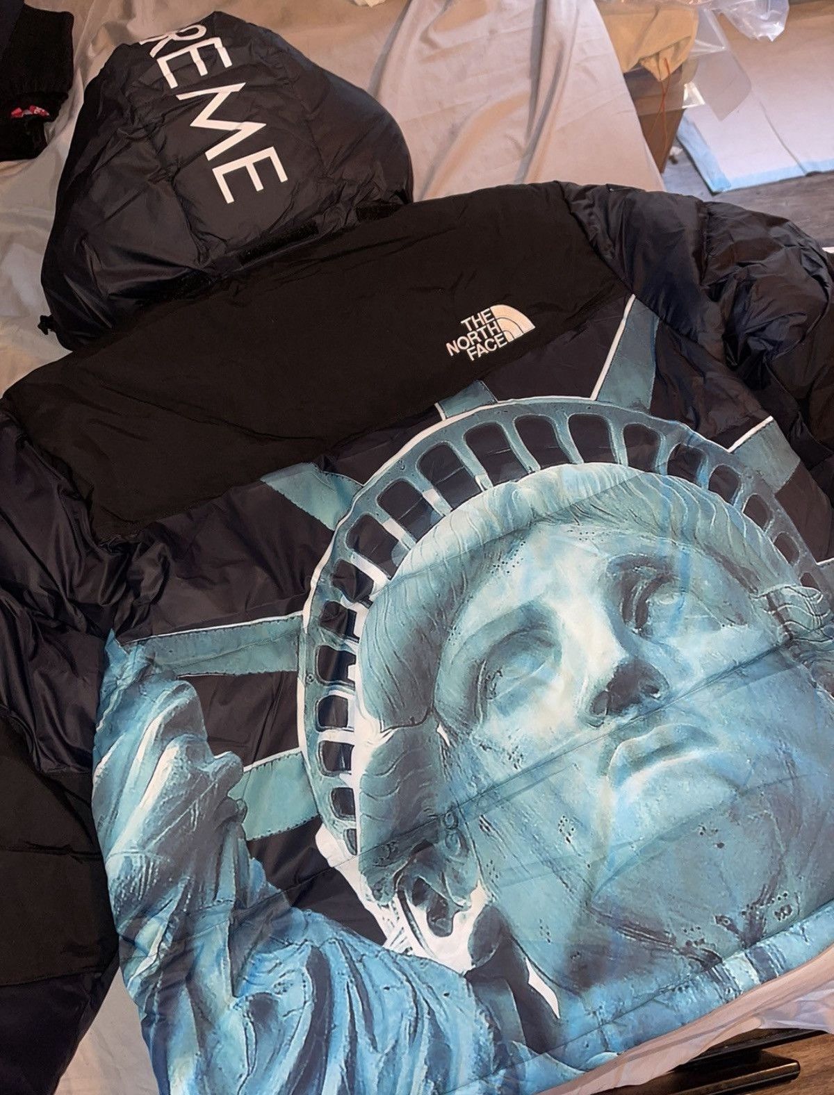 Supreme × The North Face SUPREME THE NORTH FACE STATUE OF LIBERTY BALTORO JACKET Size US M / EU 48-50 / 2 - 3 Thumbnail
