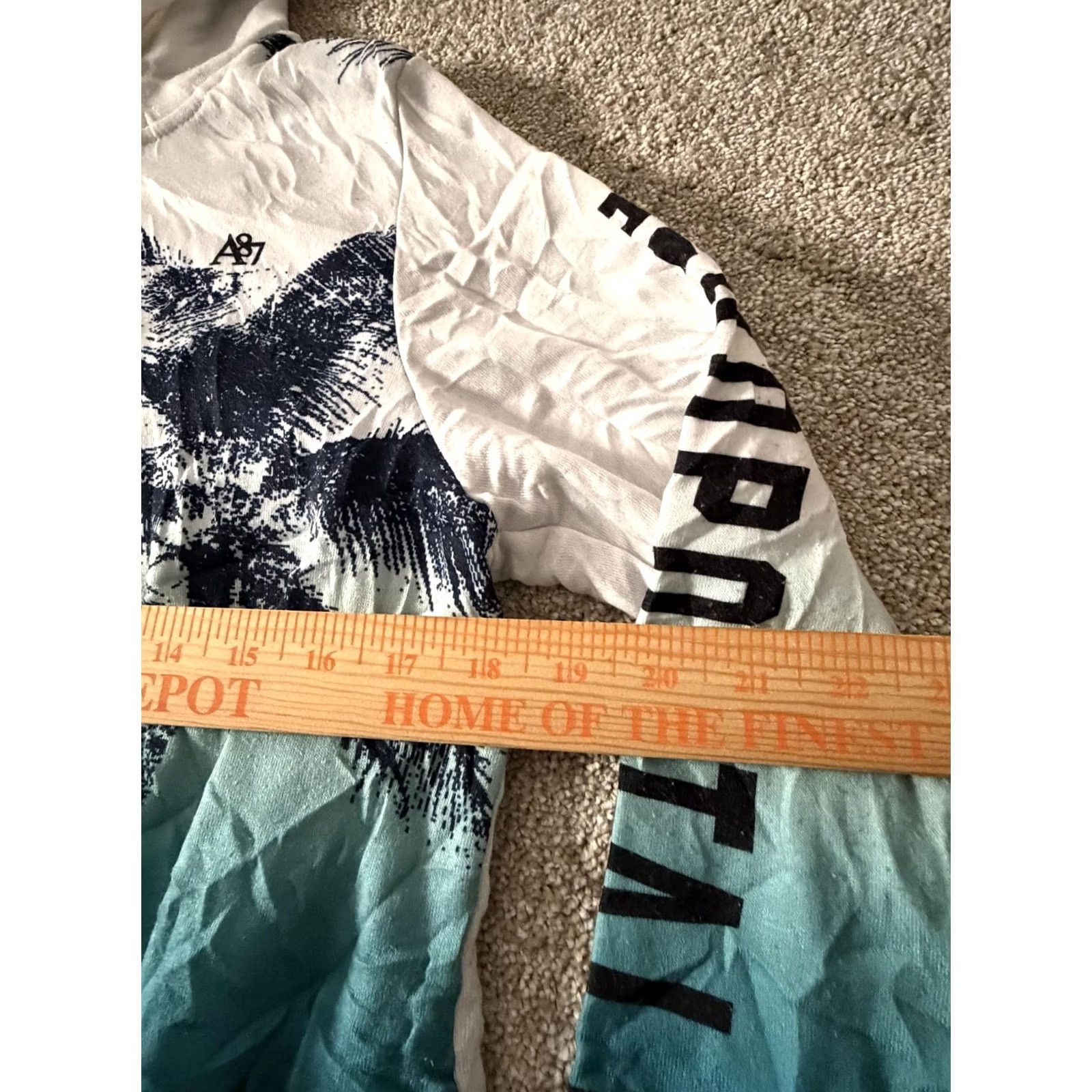 Aeropostale Aeropostale Mens Medium Blue Palm Tree Graphic Hoodie Sweatshirt Size US M / EU 48-50 / 2 - 5 Thumbnail