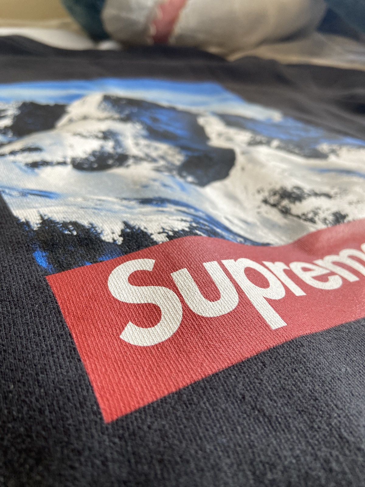 Supreme × The North Face Supreme x The North Face Mountain Crewneck (F/W2017) Size US M / EU 48-50 / 2 - 3 Thumbnail