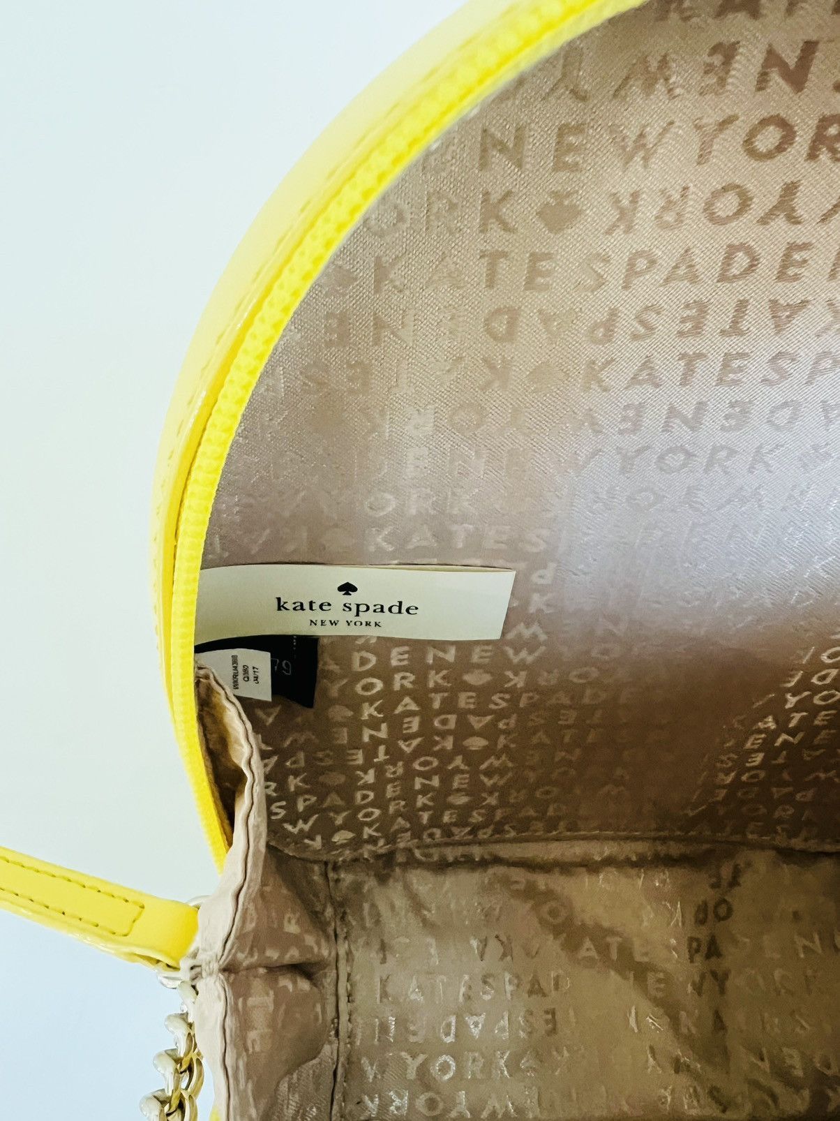 Kate Spade New! Kate Spade How Refreshing Pineapple Crossbody Size ONE SIZE - 10 Thumbnail
