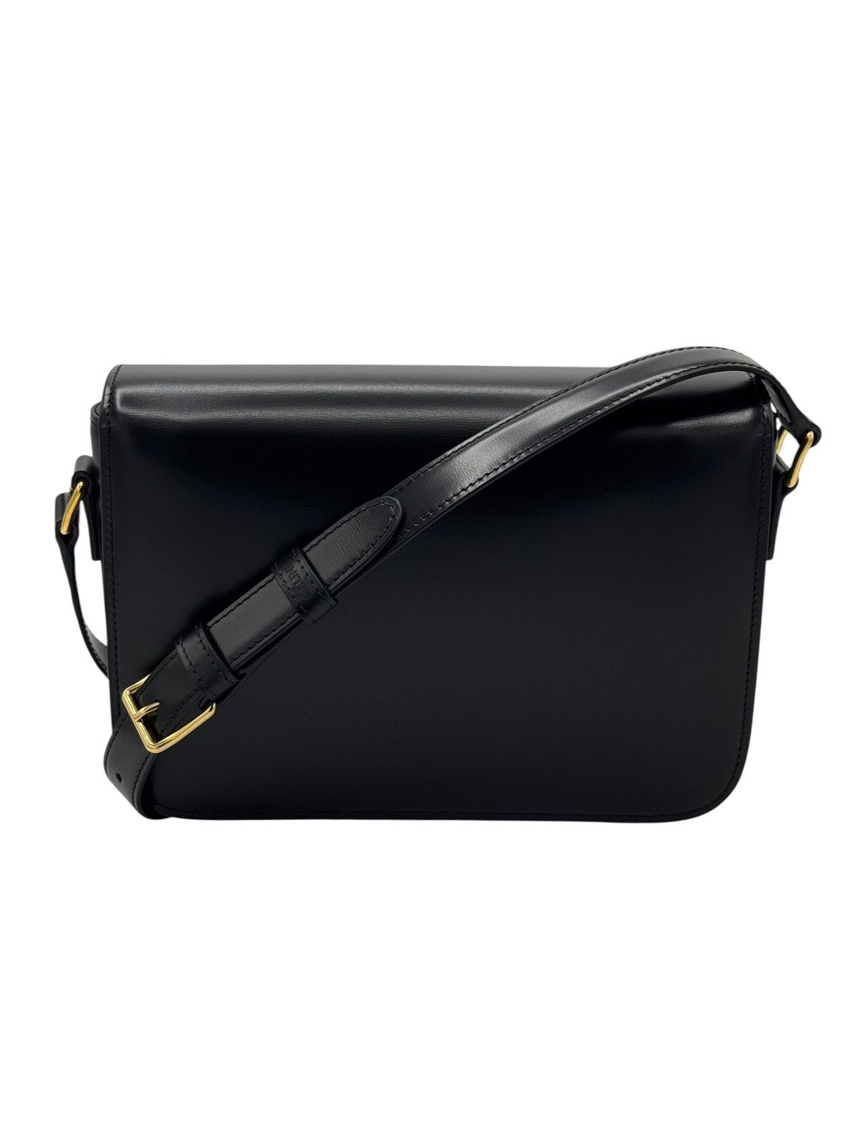 Celine Celine Triomphe Classique shoulder bag Size ONE SIZE - 4 Thumbnail