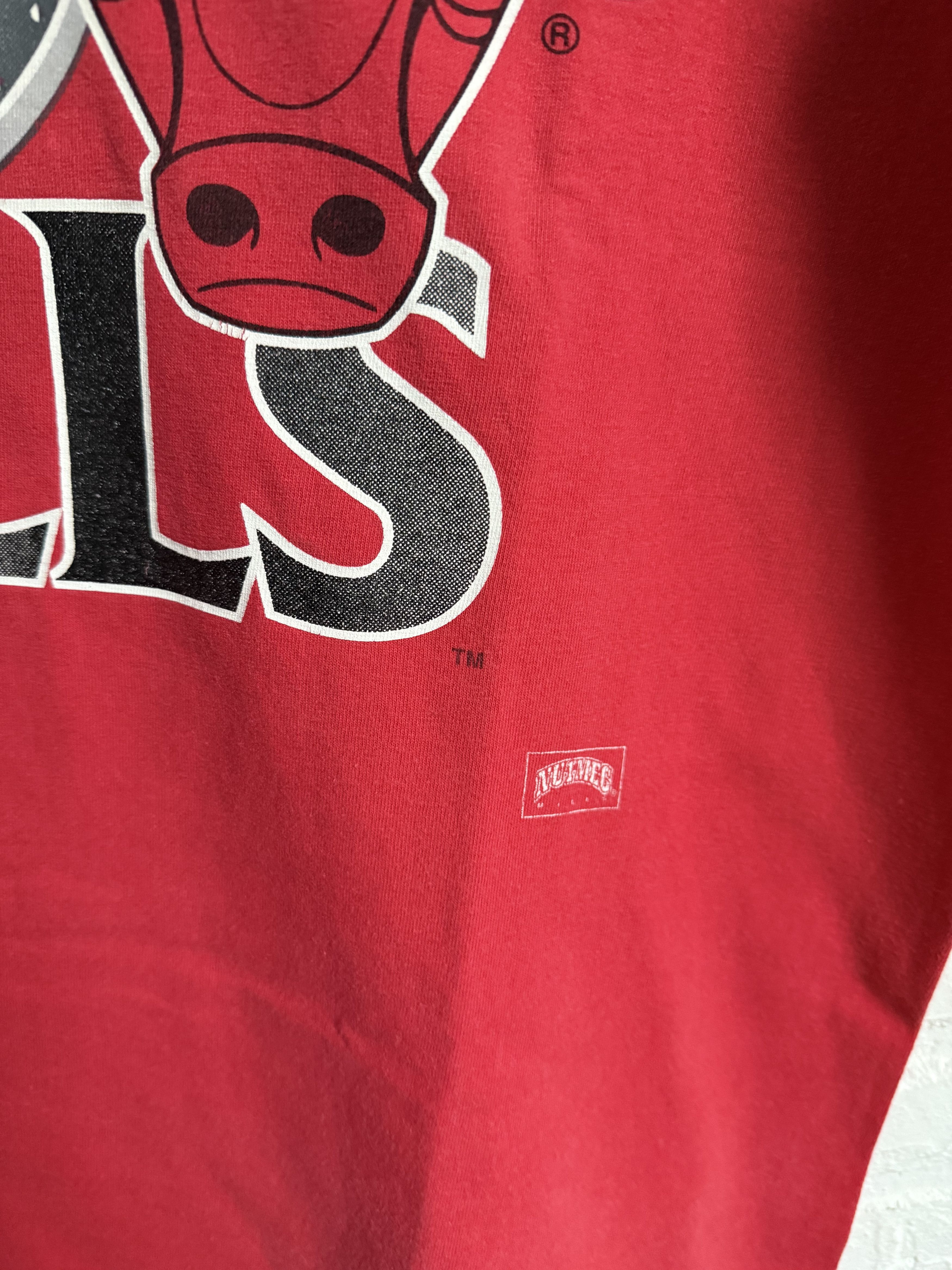NBA Vintage 1993 Nutmeg Chicago Bulls NBA t-shirt Size US L / EU 52-54 / 3 - 7 Thumbnail