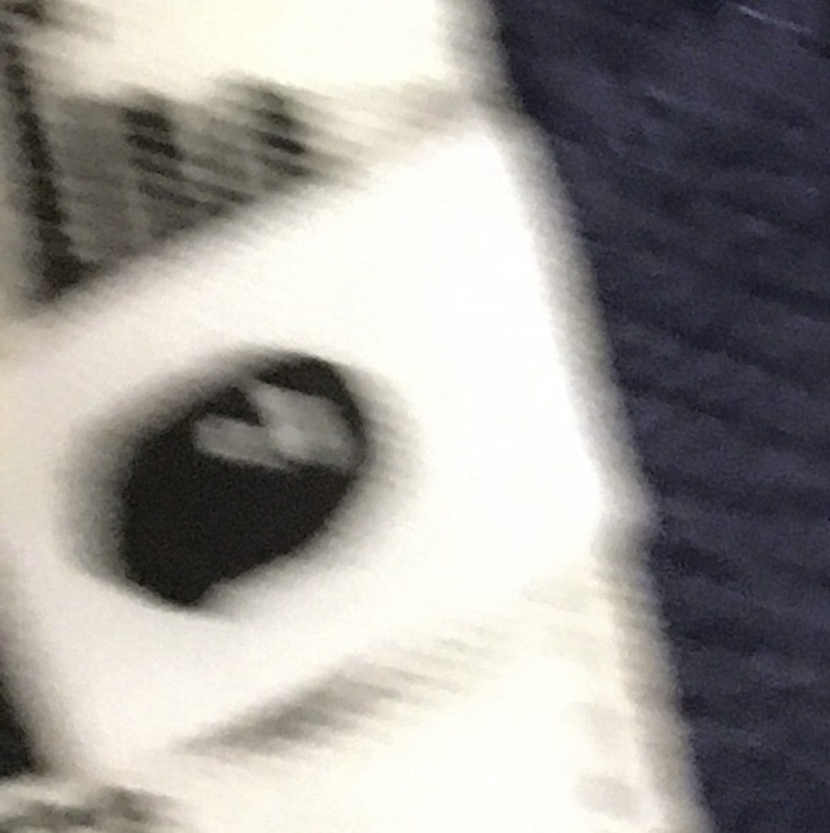 Bape Bape crew neck sweatshirt Size US S / EU 44-46 / 1 - 5 Thumbnail