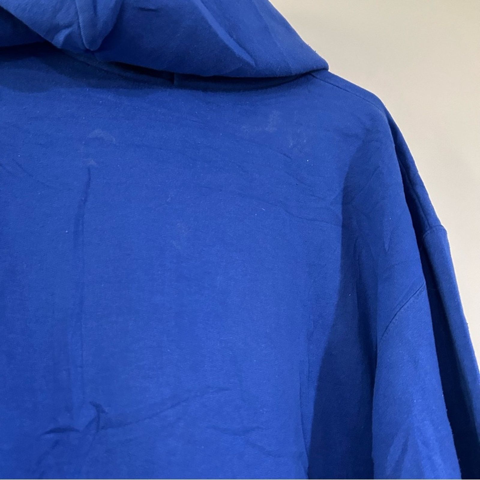 Champion Champion Central Connecticut State Blue Devils Hoodie Size US L / EU 52-54 / 3 - 5 Thumbnail