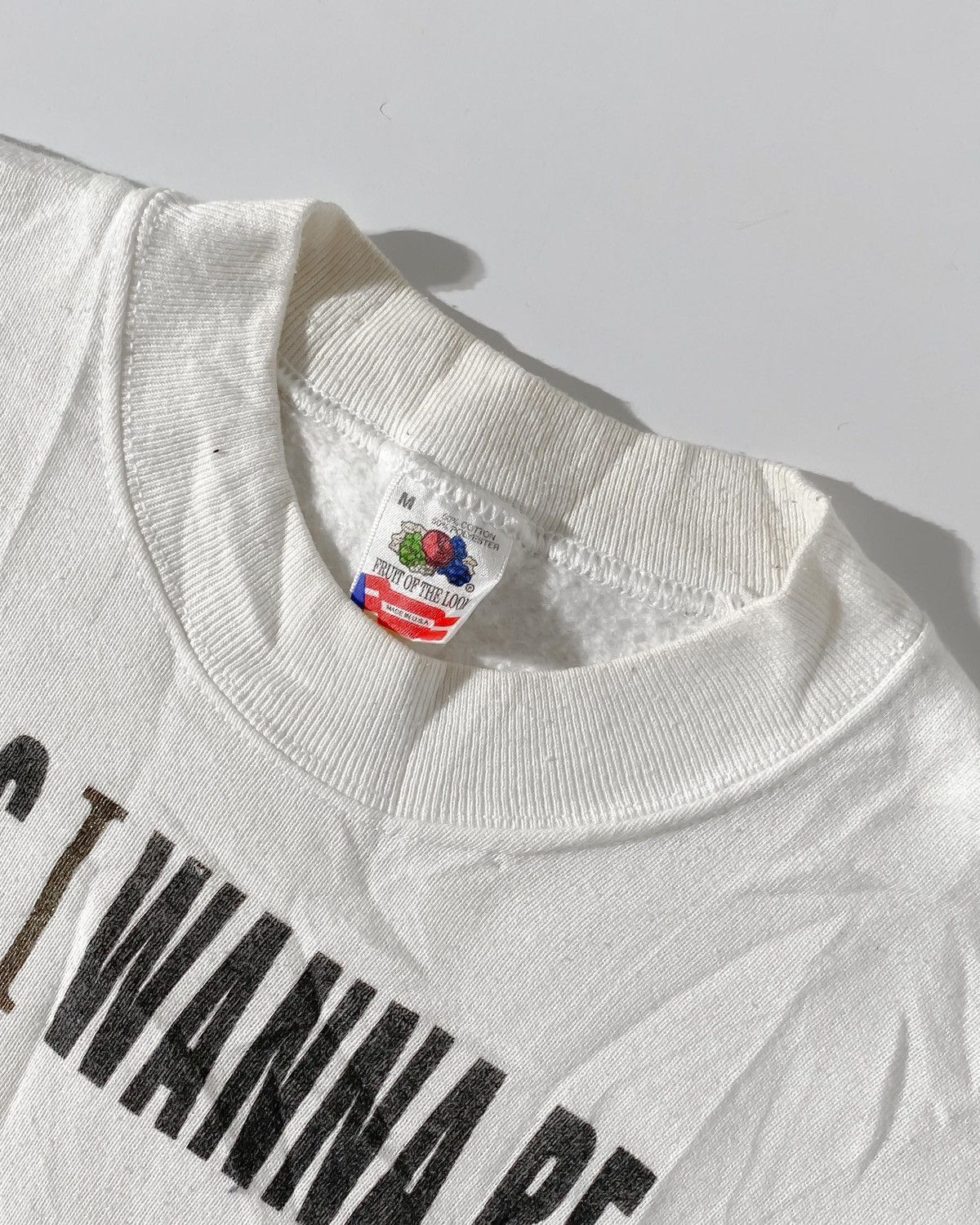 Vintage Vintage Sweatshirt Dennis Rodman 90s Fruit of the loam Size US M / EU 48-50 / 2 - 3 Thumbnail