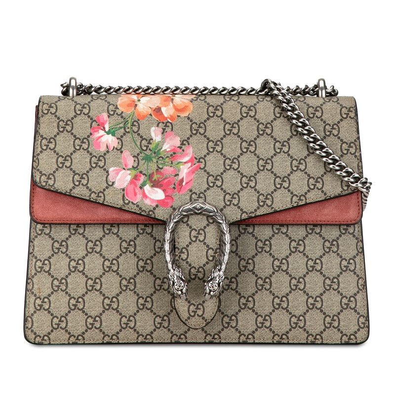 Gucci Gucci Gucci Dionysus Chain Shoulder Bag PVC Suede 400235 Plastic Shoulder Bag 400235 in Very Good Condition Size ONE SIZE - 1 Thumbnail