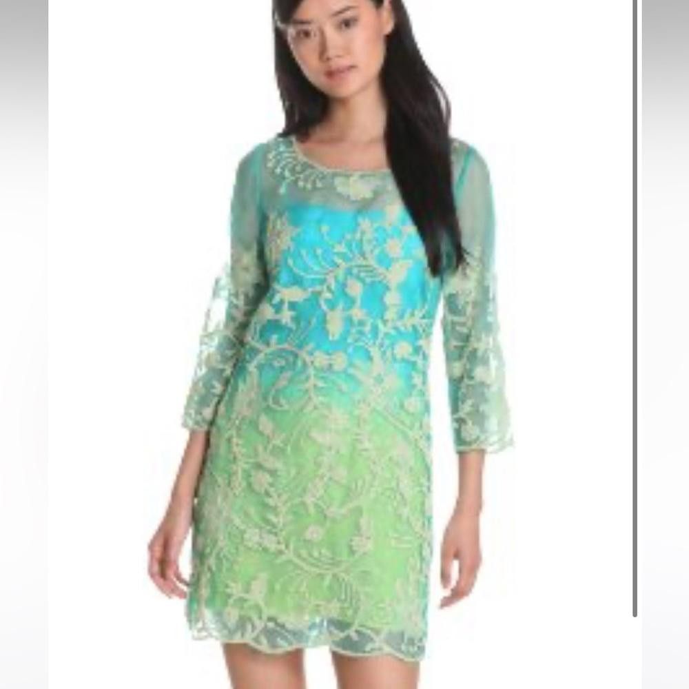 Designer Yoana Baraschi l NWT Magic Vine Ombré Tunic Dress Size 8 Size M / US 6-8 / IT 42-44 - 1 Thumbnail