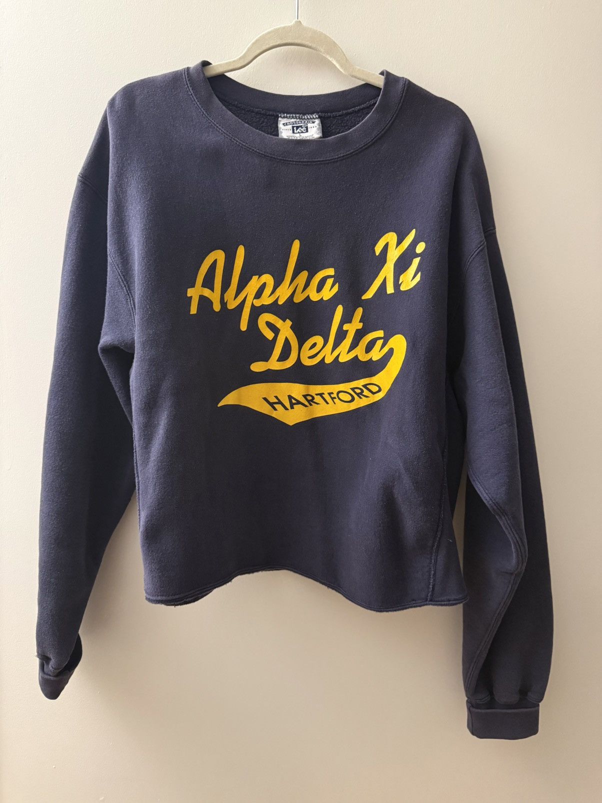 Lee Alpha xi delta 1998 crewneck Size US M / EU 48-50 / 2 - 1 Thumbnail